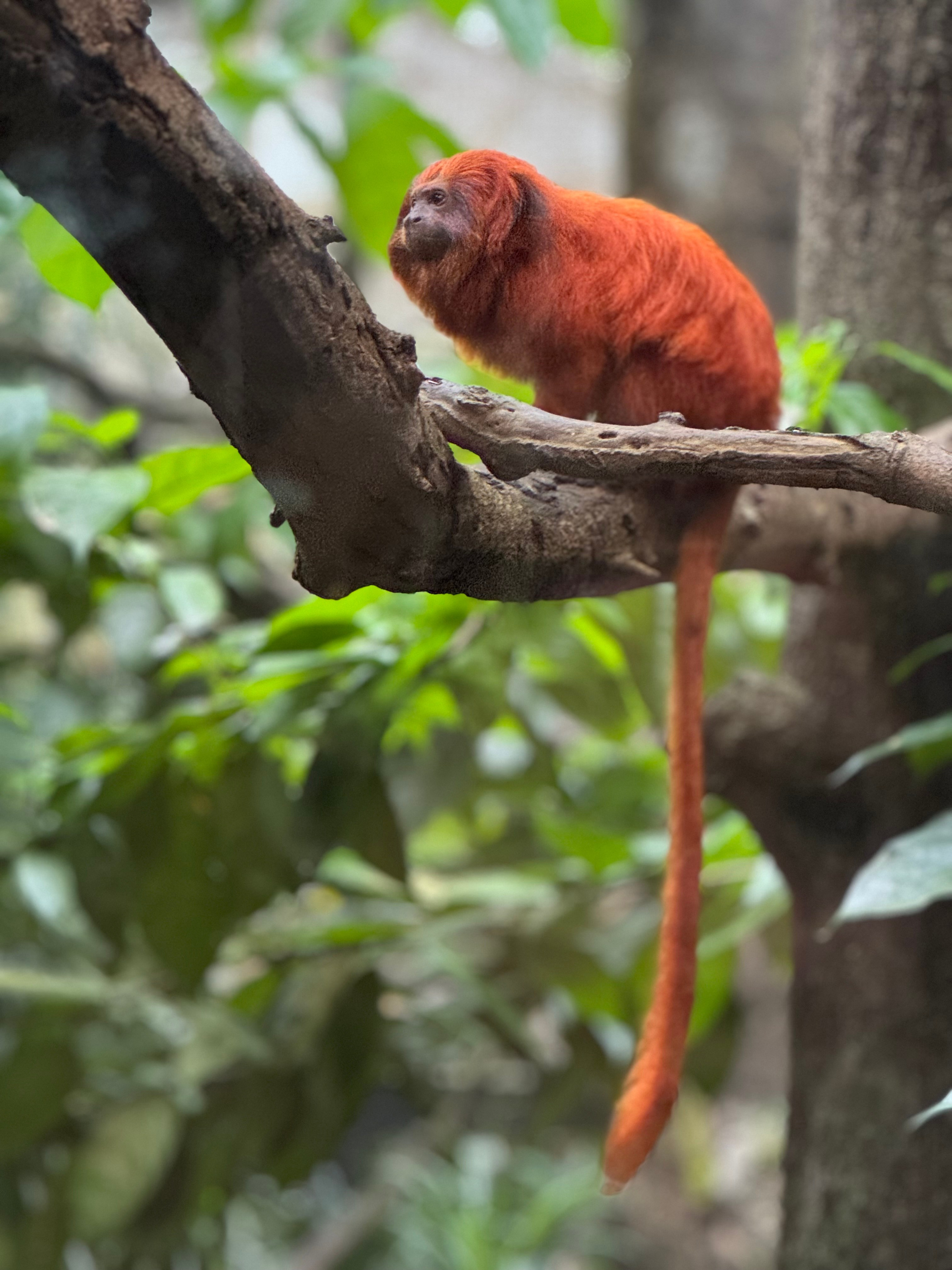 Сингапур 2025. А вот и да!