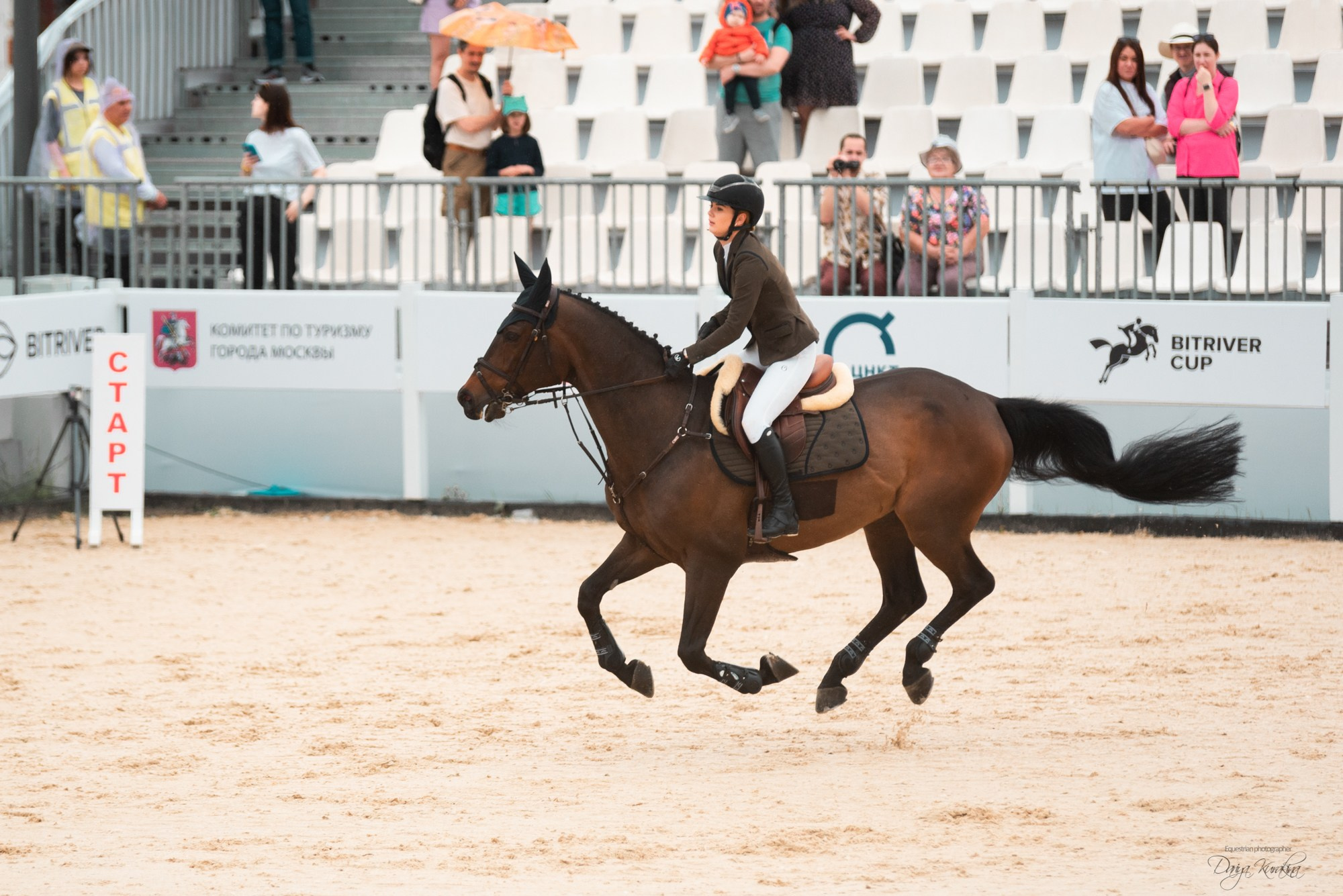 BITRIVER CUP 2023. Конный фотограф Куракина Дарья • Фотосессии с лошадьми