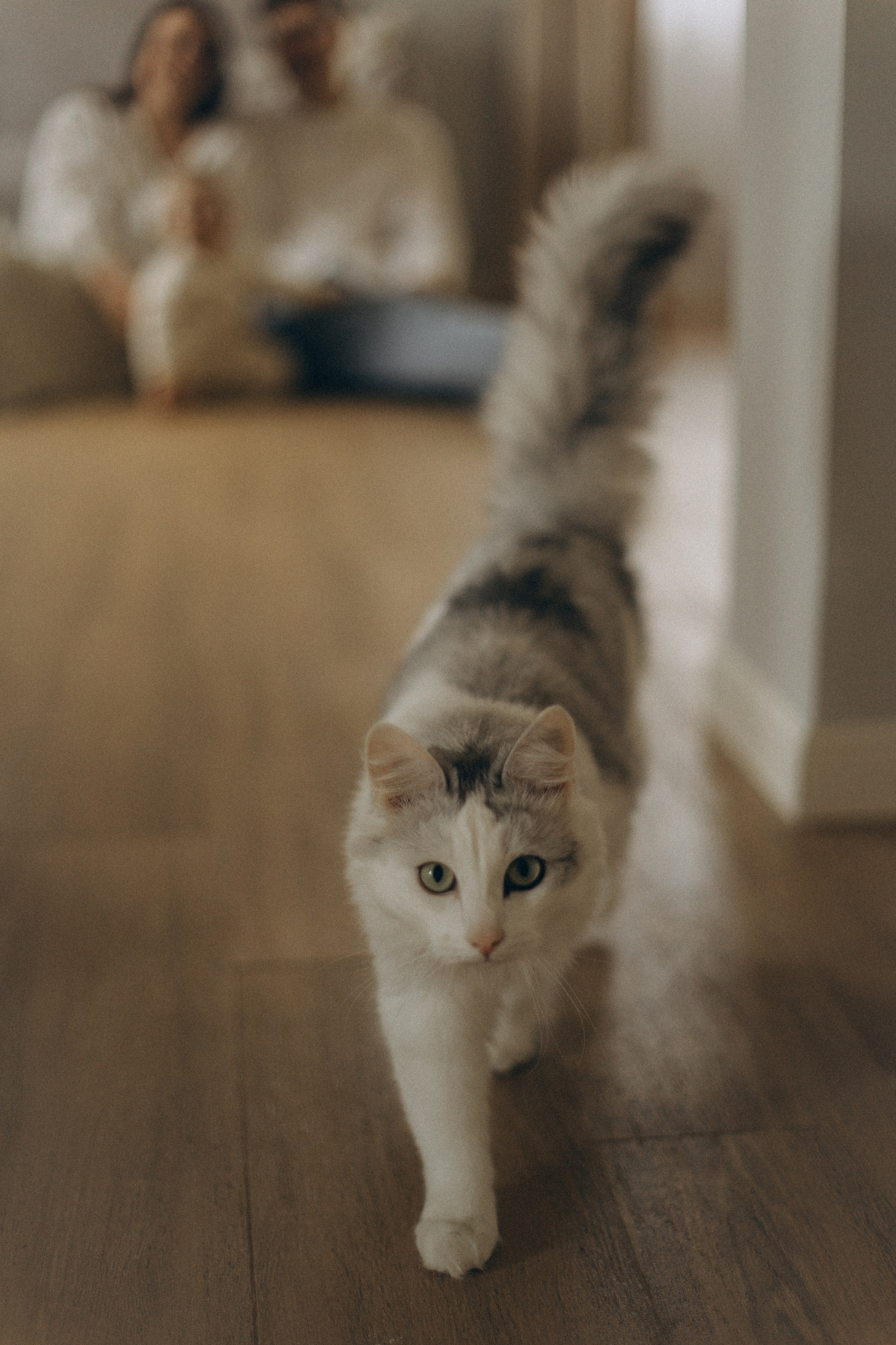 Настя, Саша и Василиса