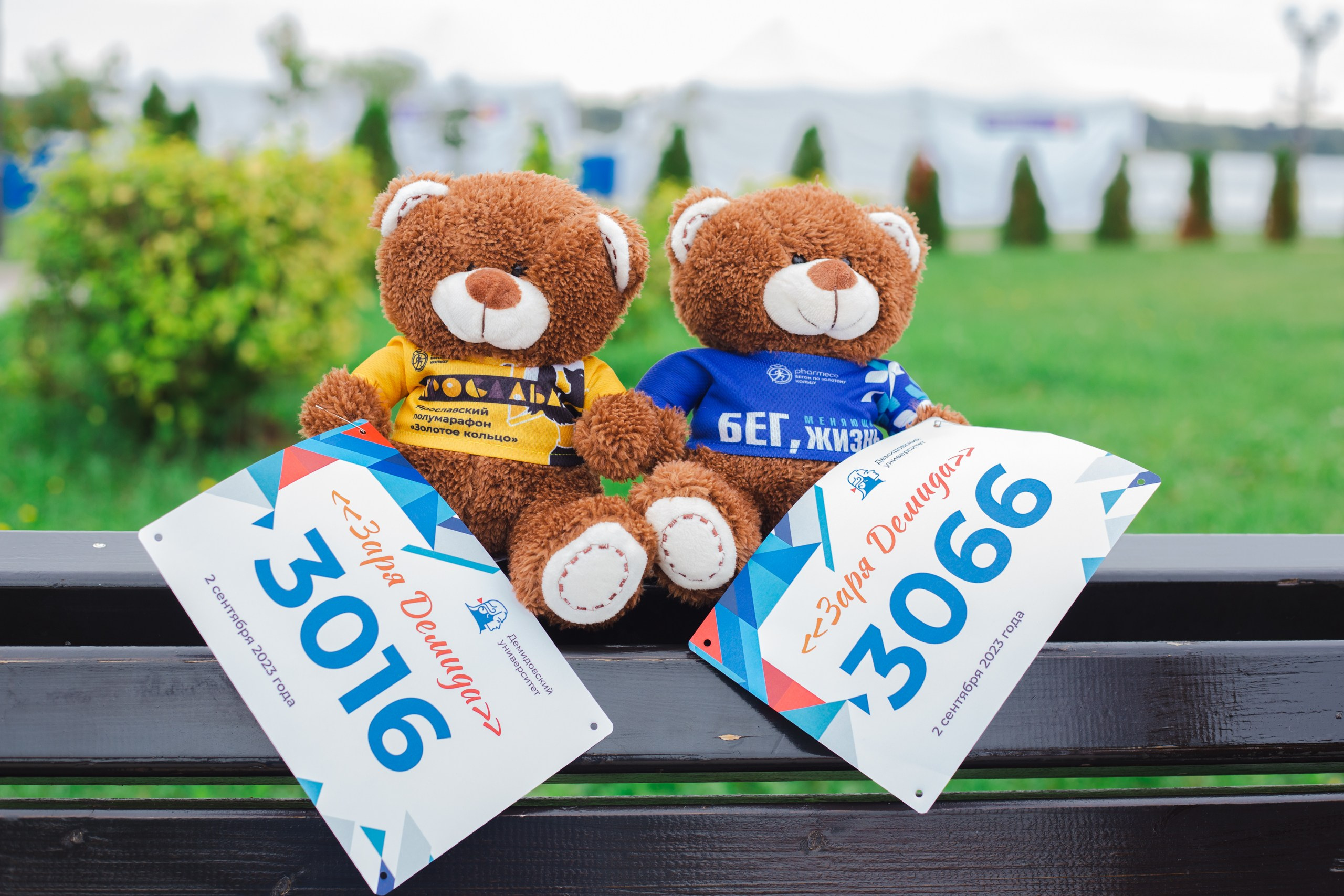 Заря Демида, сентябрь 2023. Фотограф в Ярославле Ольга Пыненкова