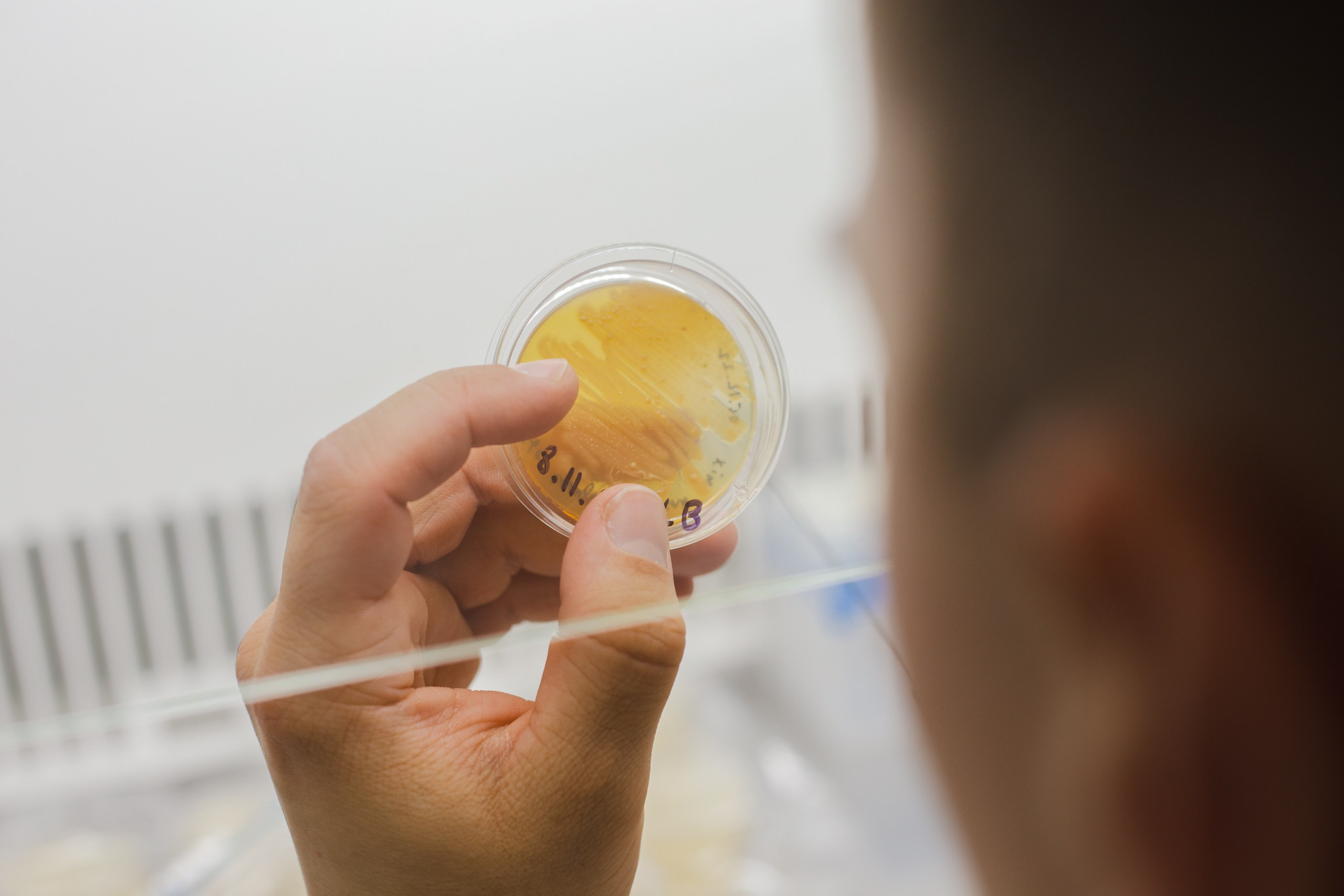 Репортаж Наука. Фотограф в Ярославле Ольга Пыненкова