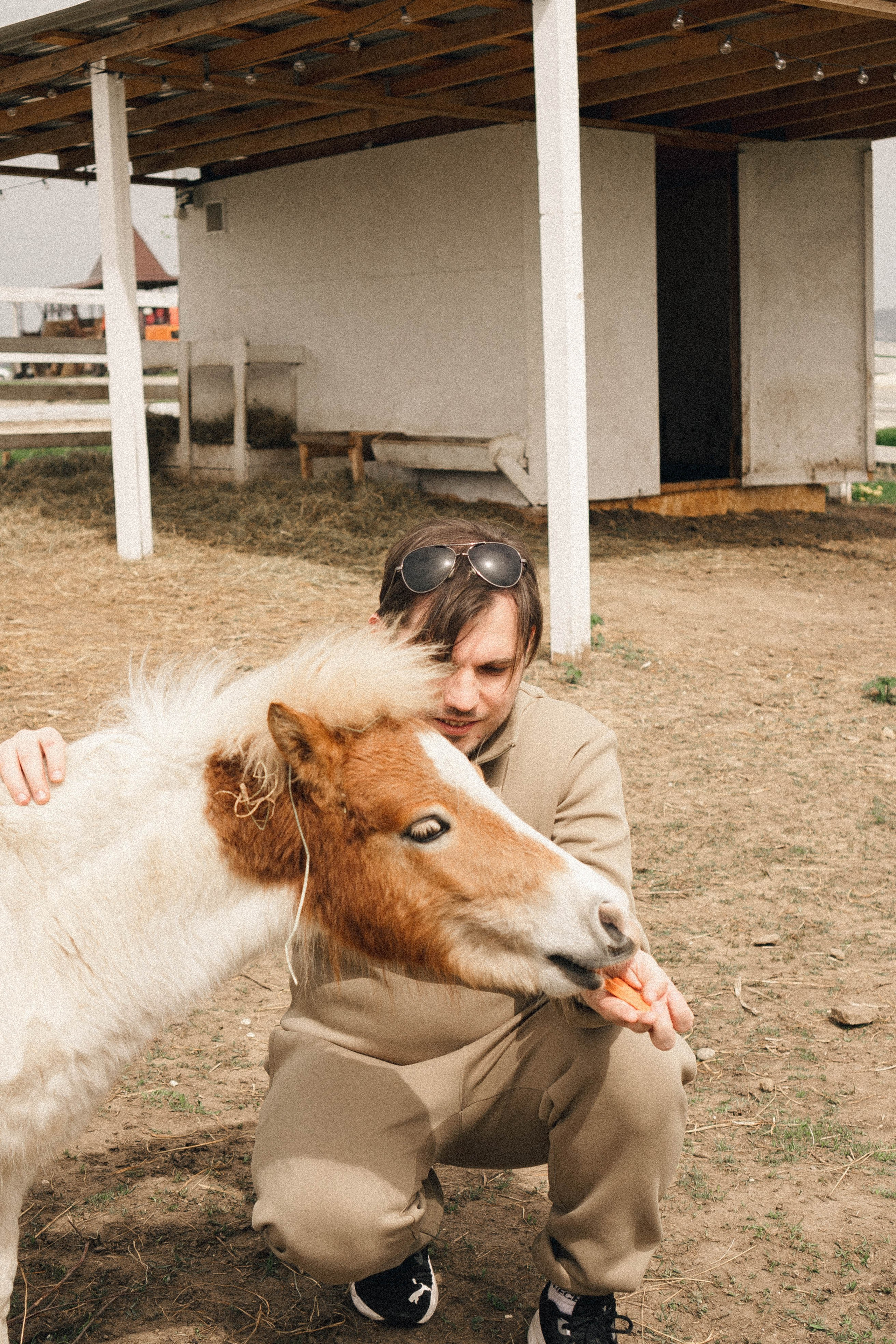 Ферма Альпак. Профессиональный фотограф, Санкт-Петербург — Виктория Богомолова