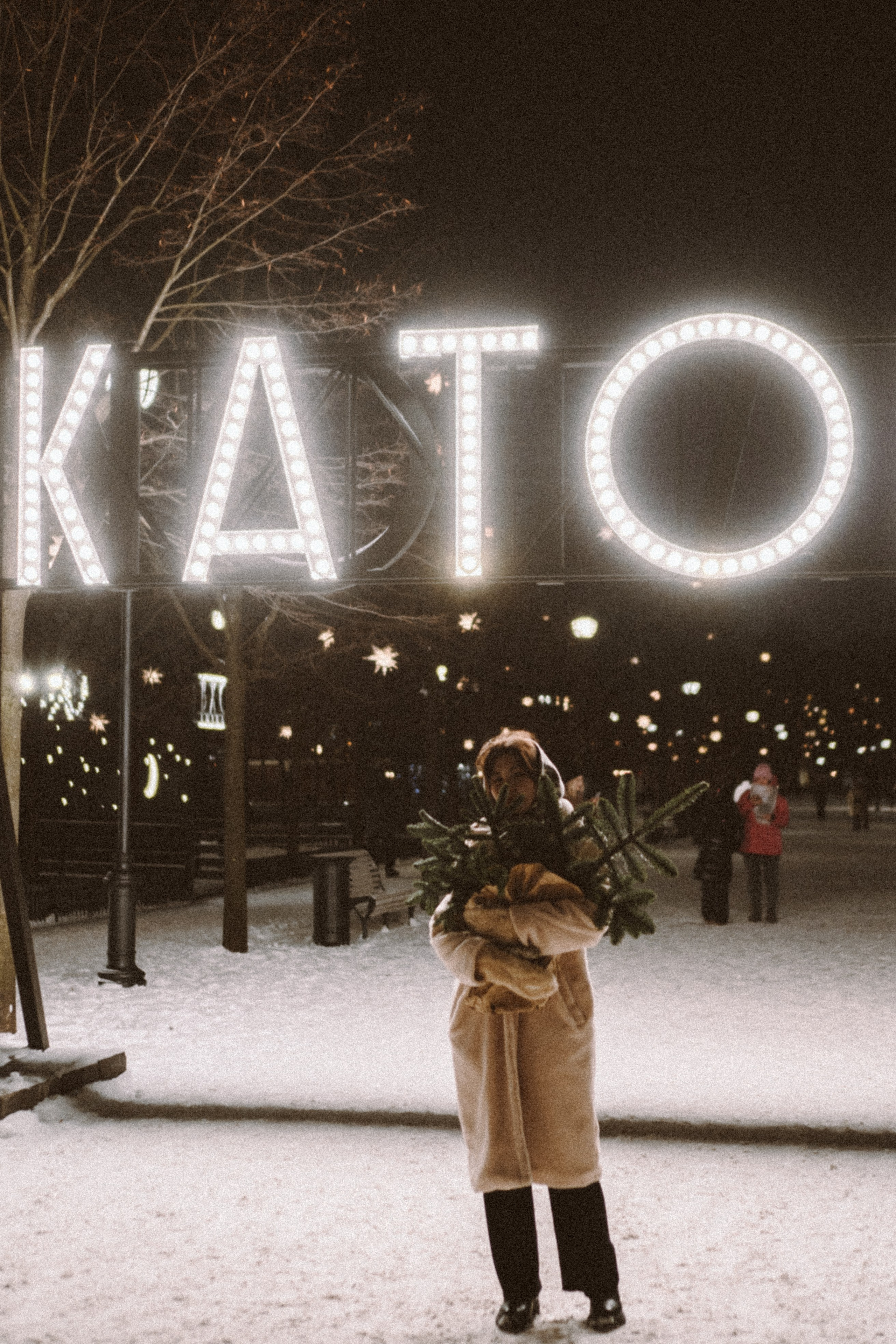 Зимняя сказка в Новой Голандии. Профессиональный фотограф, Санкт-Петербург — Виктория Богомолова