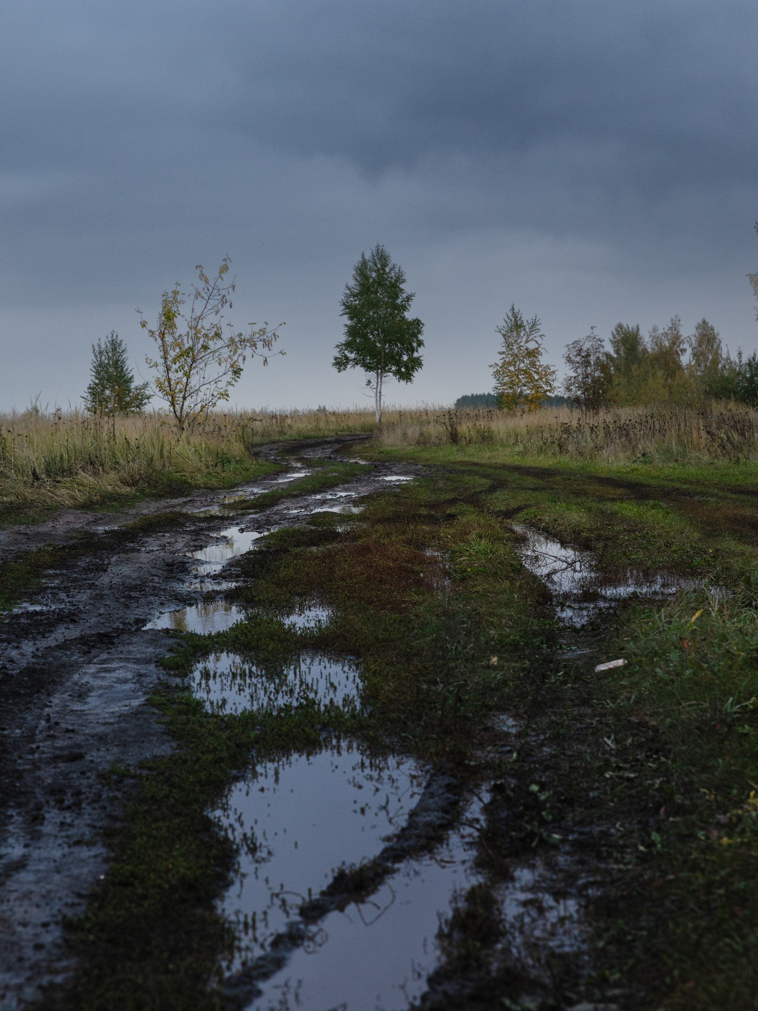 Кондуки. Октябрь 2023. Фотографии