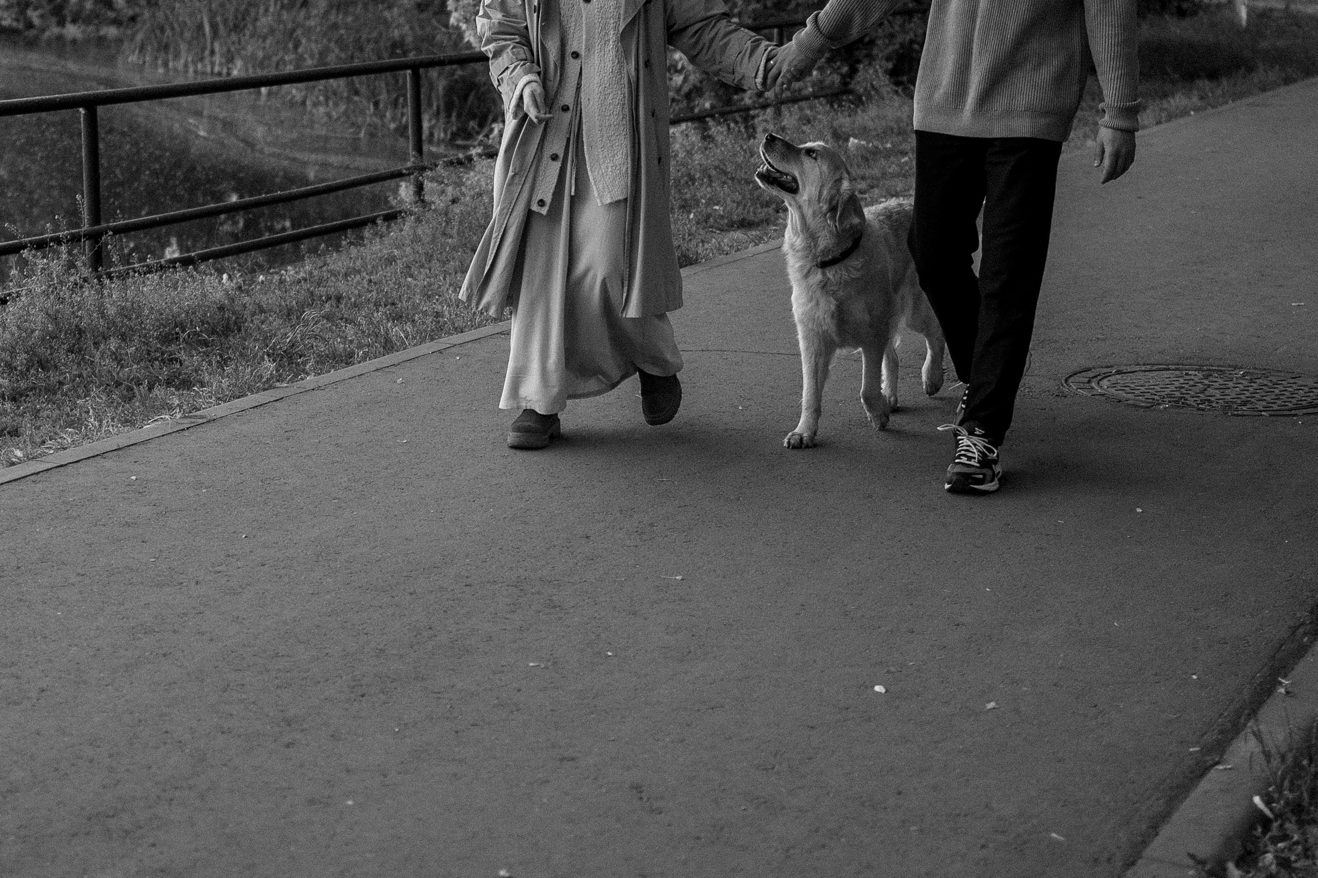 Пенни и ребята. Фотограф — Анималист | Санкт-Петербург