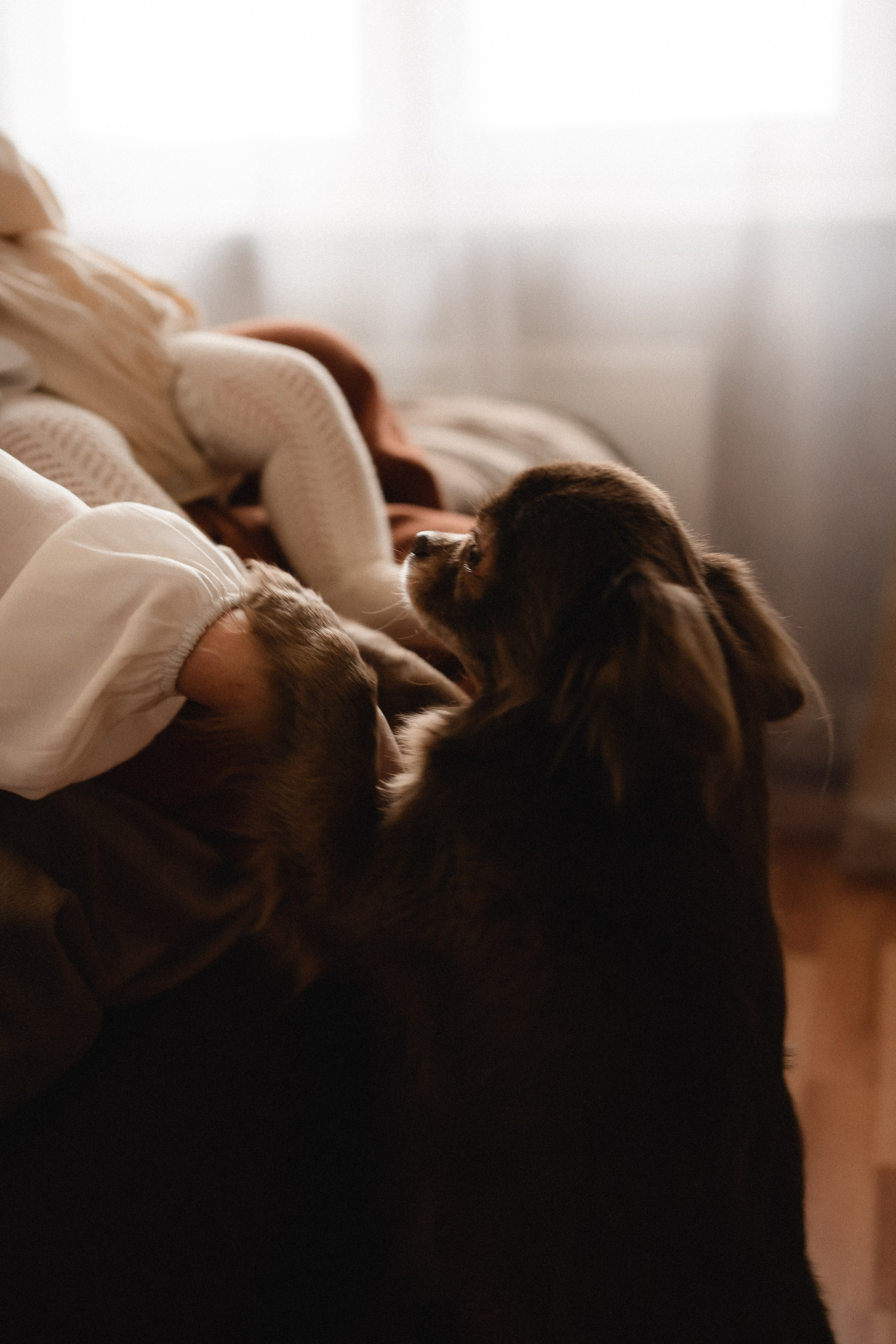 Семейная домашняя фотосессия в Домодедово. Семейный фотограф в Москве и в Домодедово Екатерина Патракова