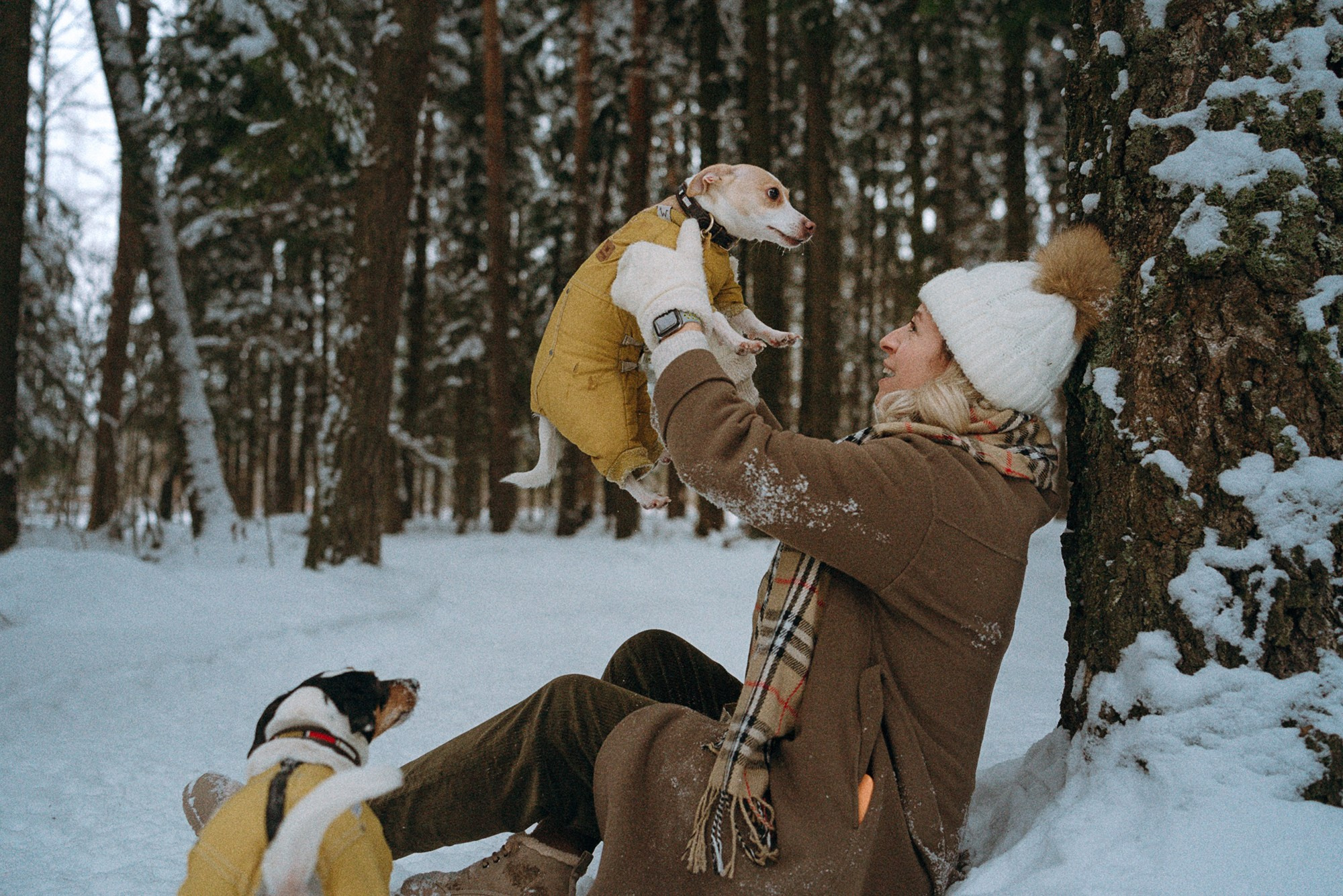 Алина, Ваниль и Элис. Фотограф анималист в Москве и Санкт-Петербурге Свиридова Анна