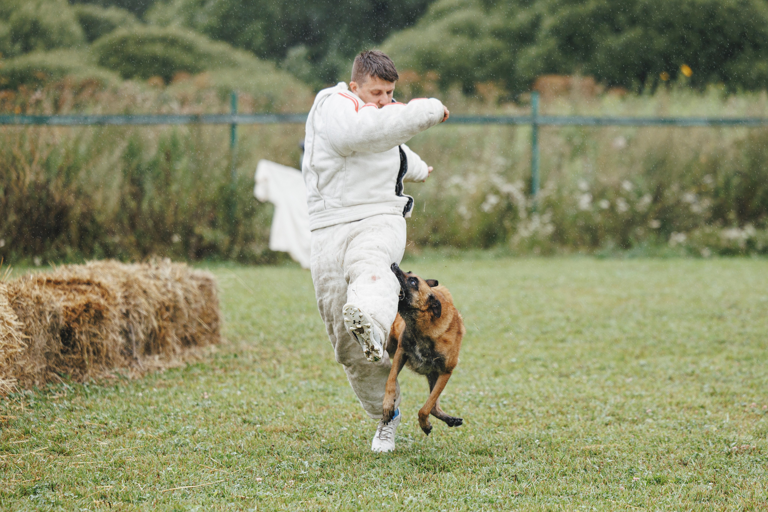 08.08.25-10.08.25 ЧР по мондьорингу г. Вологда. Фотограф-анималист Анна Маринич
