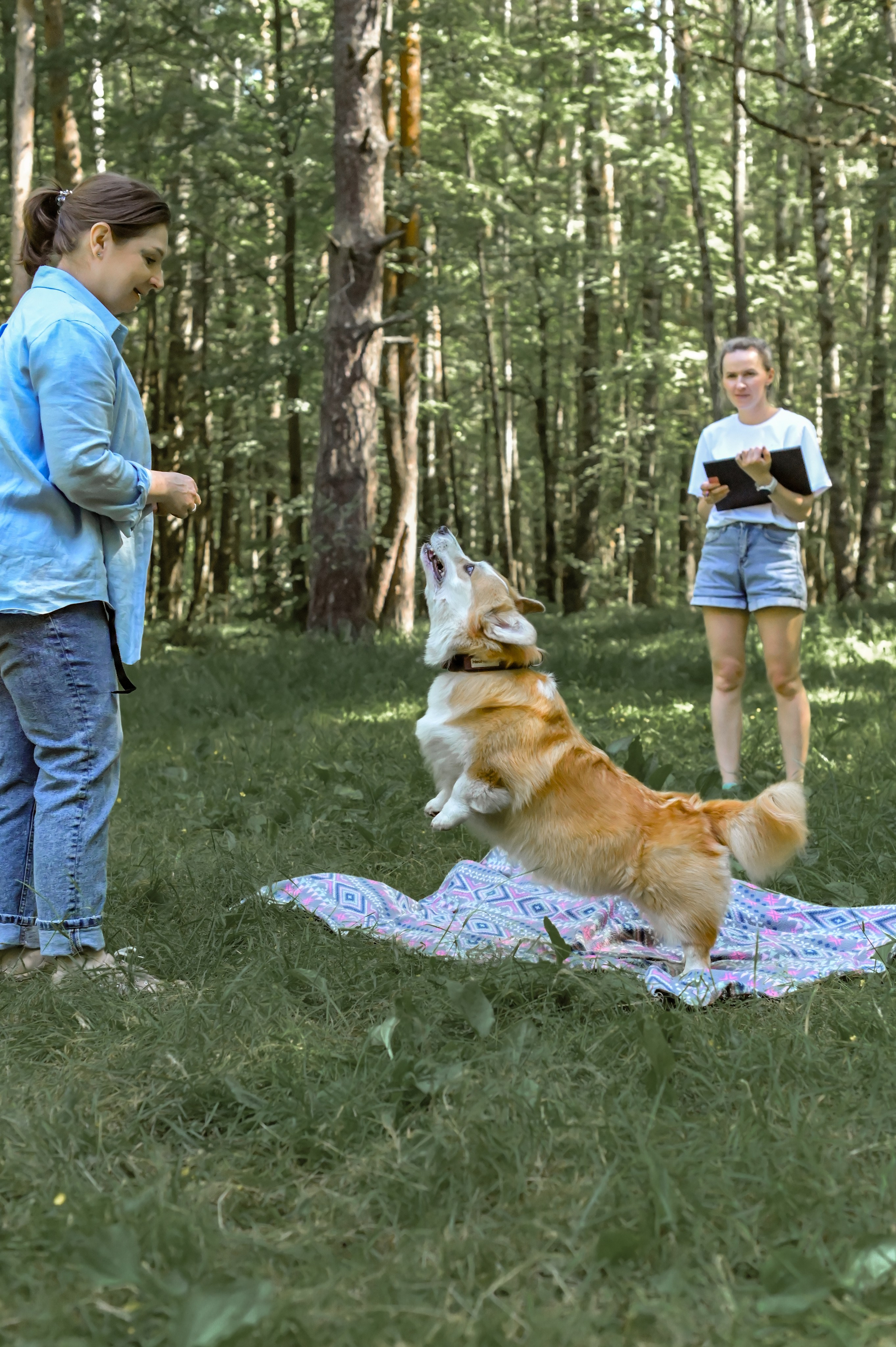 Кинологические соревнования. Семейный и репортажный фотограф в Москве Анастасия Трубкина