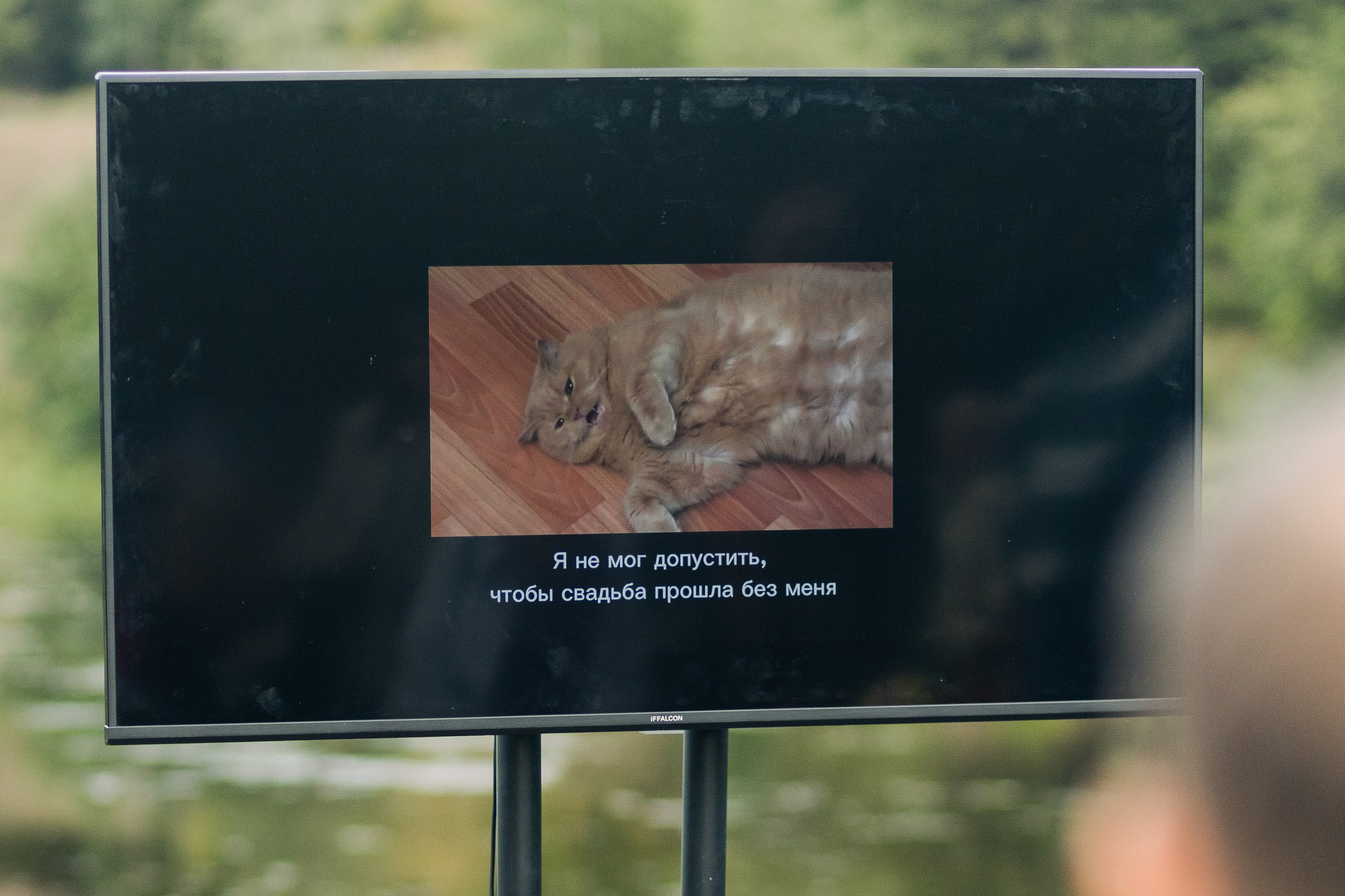 Хитрые Ника и Никита. Портфолио свадебного фотографа. Роман Каргаполов