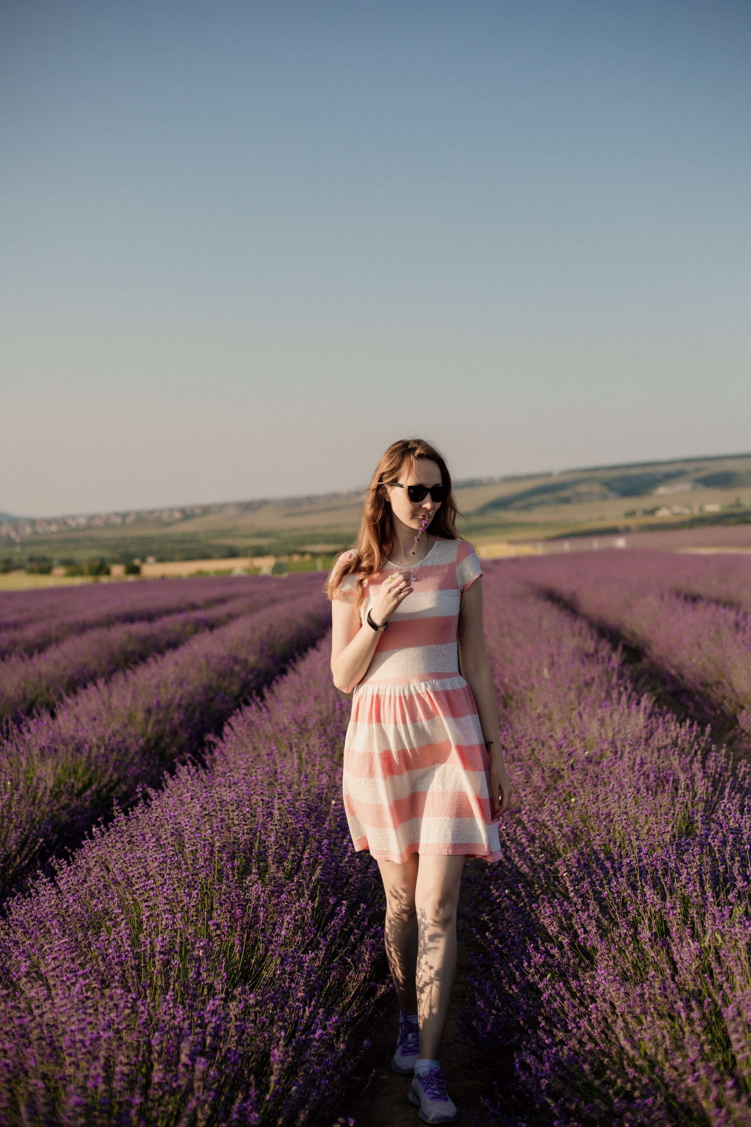 Лаванда. Фотограф и Видеограф Севастополь Крым