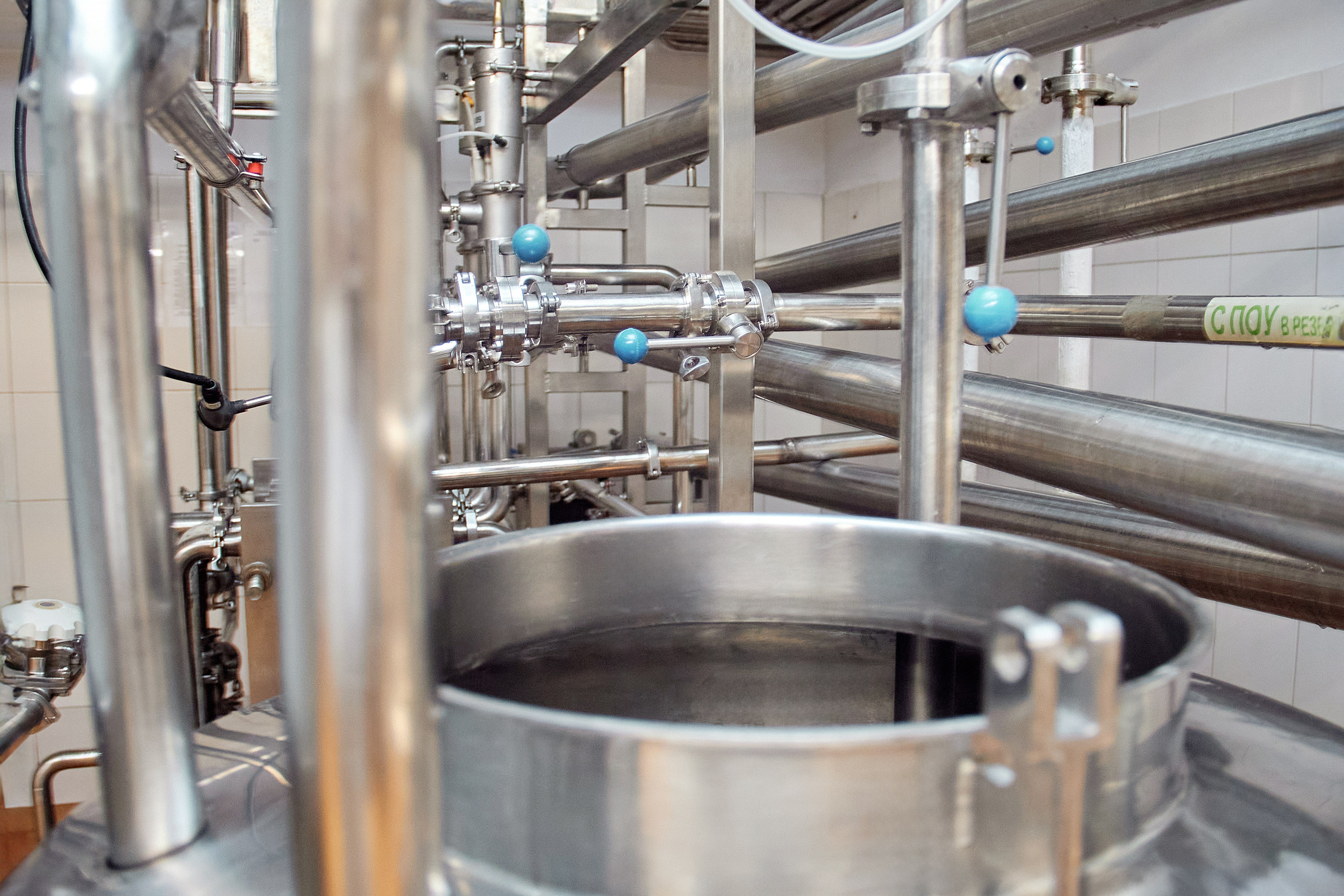 Экскурсия «Агроферма-Катынь». Фотограф в Смоленске Ася Польшина