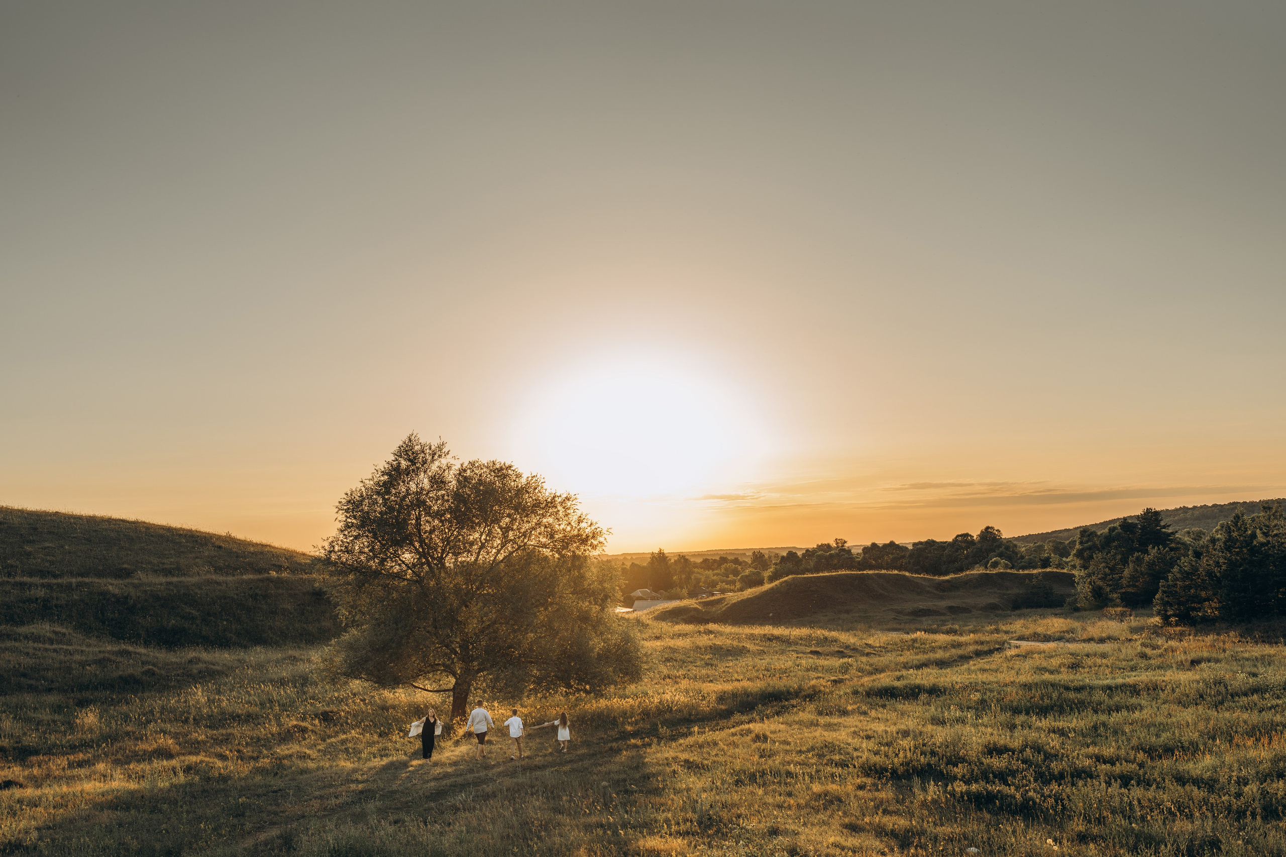 Летний луг, закат. Семейный фотограф Москва. Фотограф беременности и материнства Москва
