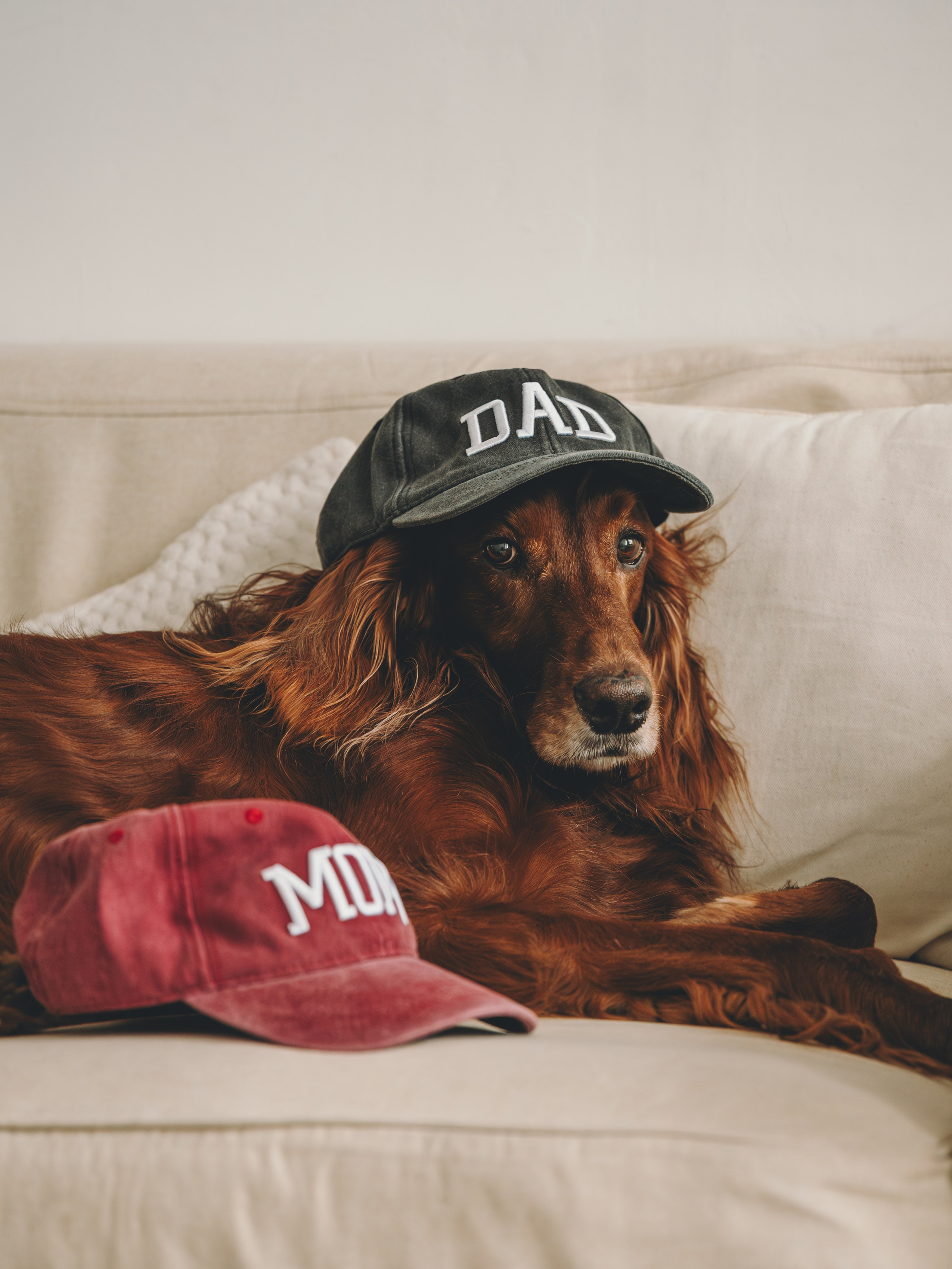 Маша, Илья и Локи. Семейный фотограф анималист Ананьева Мария — Москва