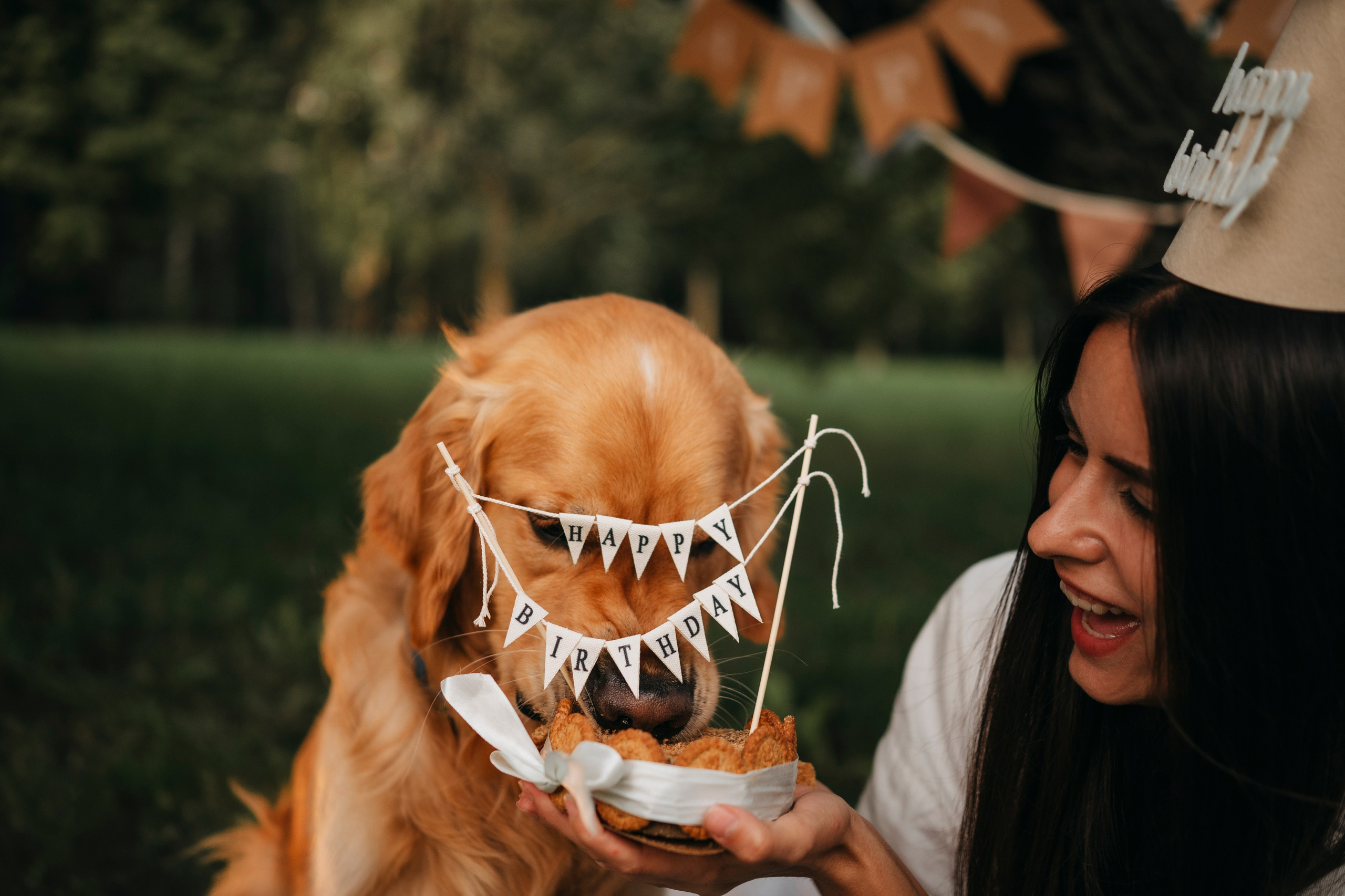 Карина, Саша и Луни. Семейный фотограф анималист Ананьева Мария — Москва