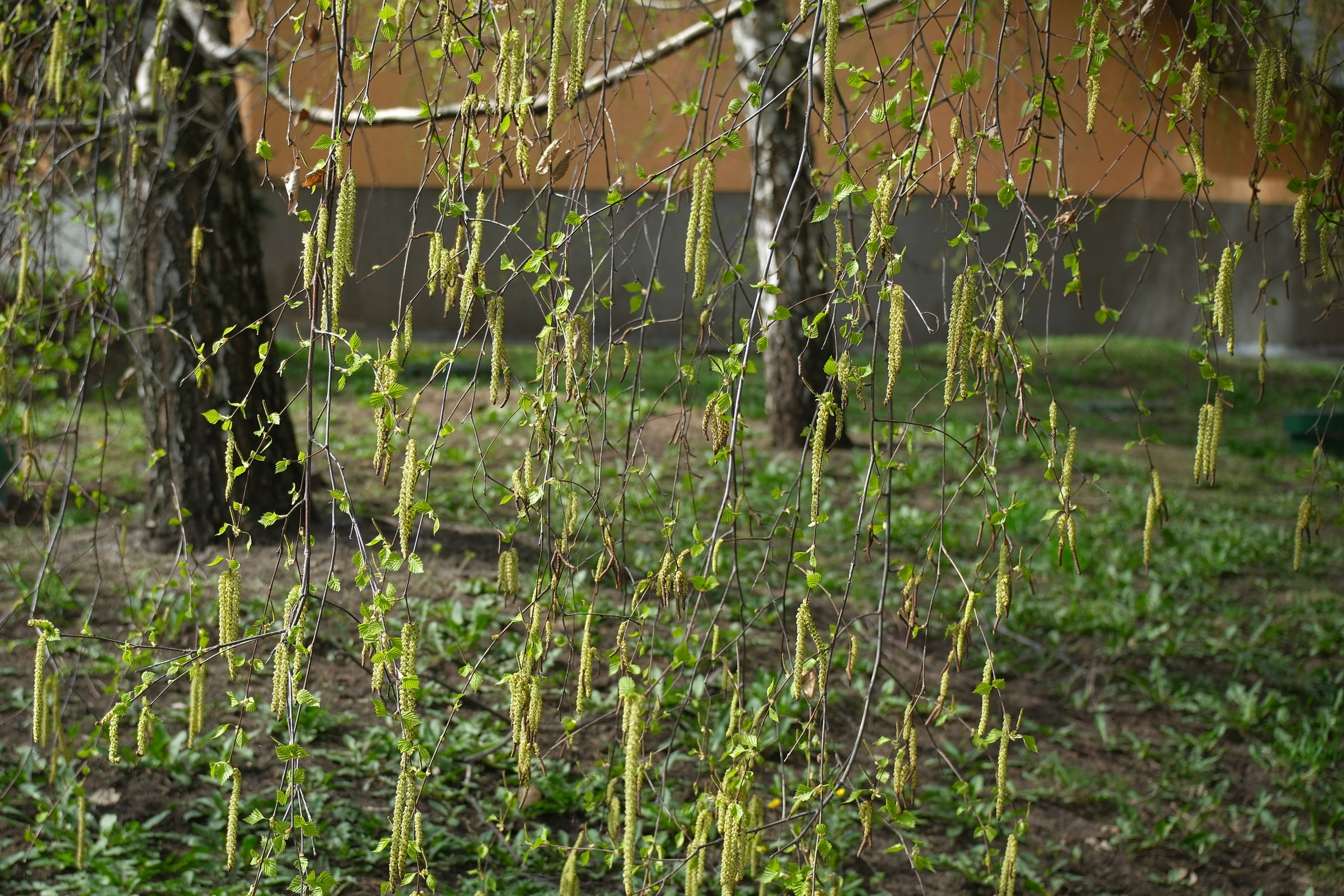 Улица, люди, жизнь…