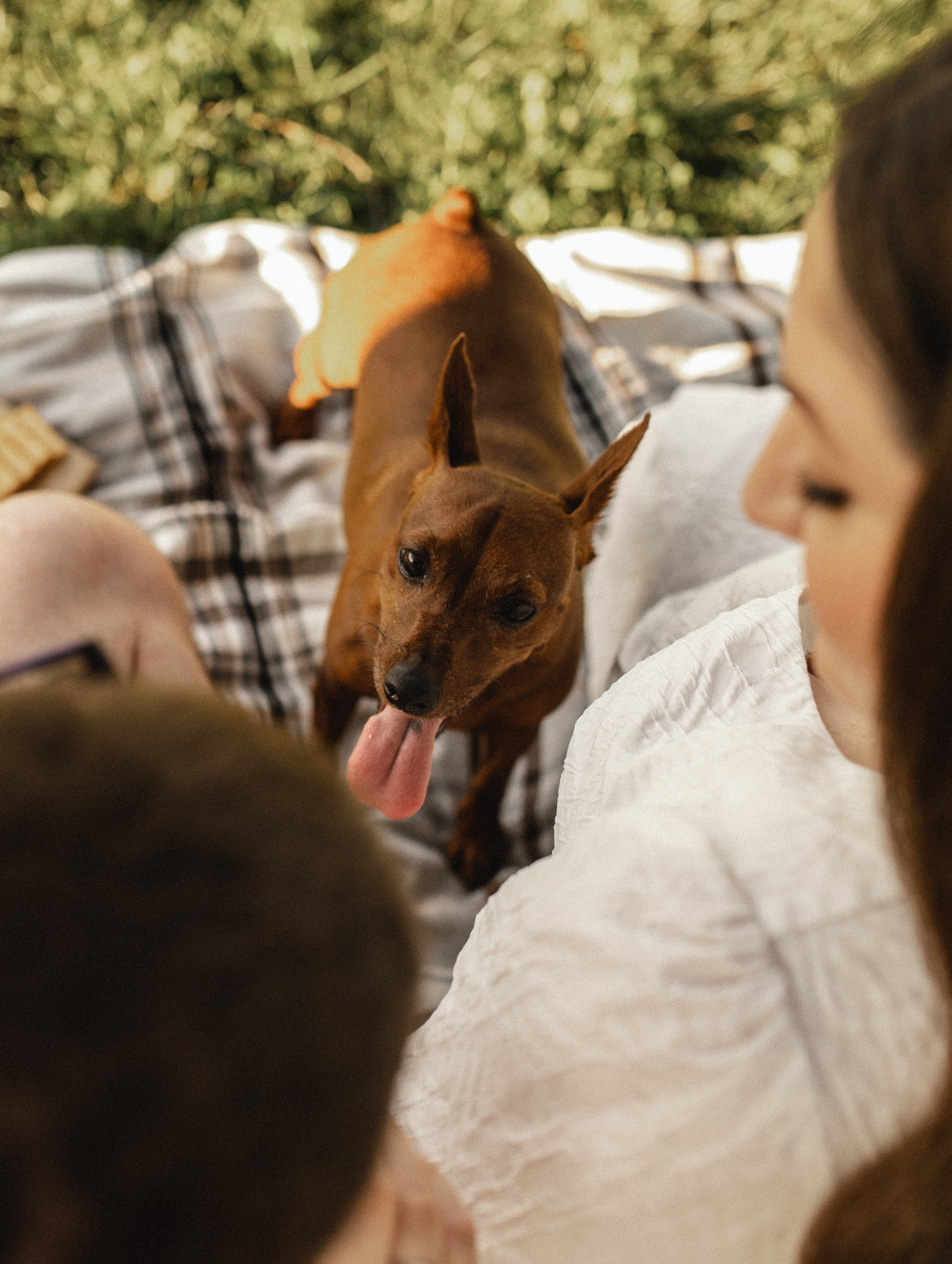 Фотосессия беременности на природе в парке Москвы. Семейная фотосессия Бутово Москва фотограф Алина Морщагина