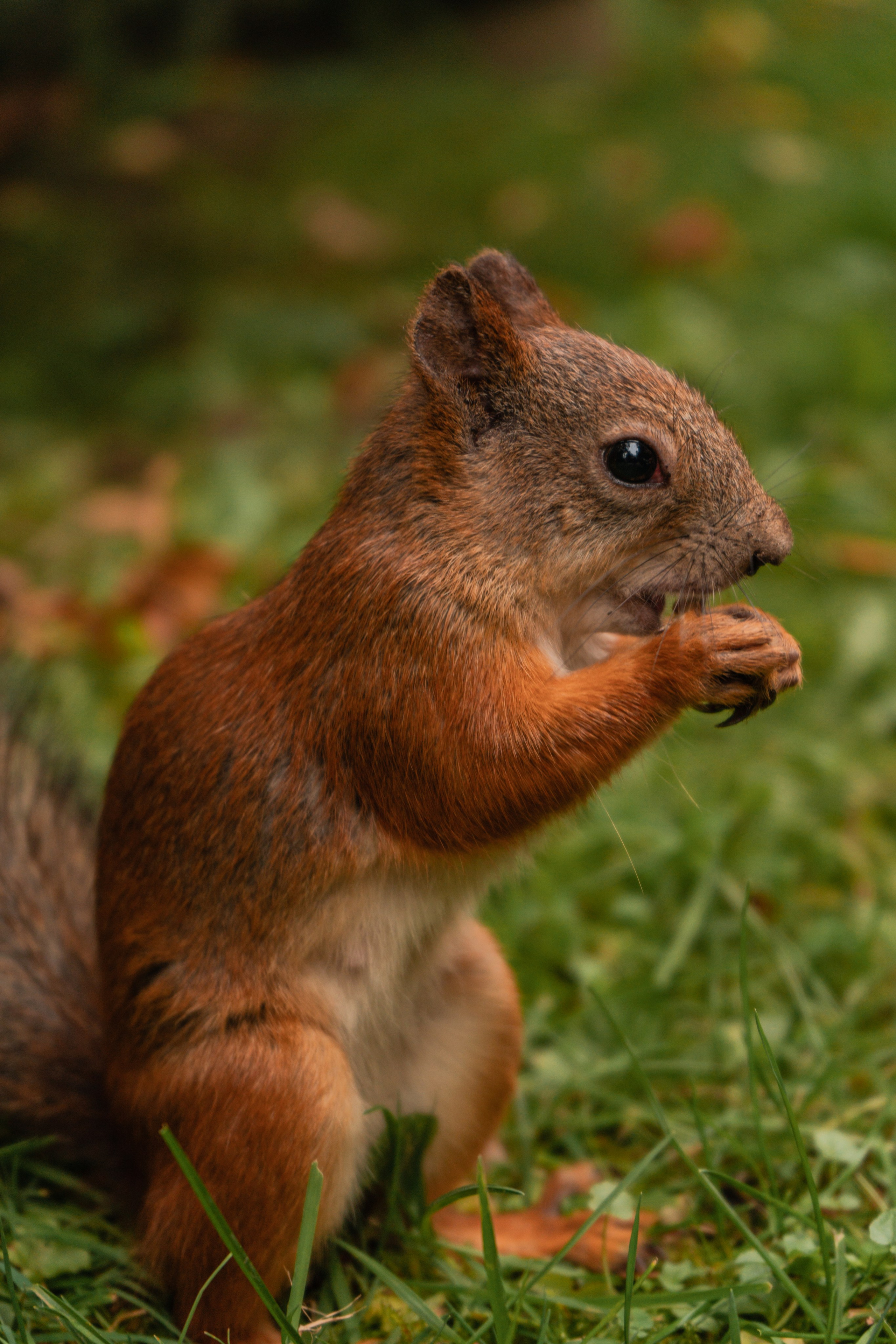 Натура. Владислав Кожух | Фотограф | Видеограф | Режиссёр