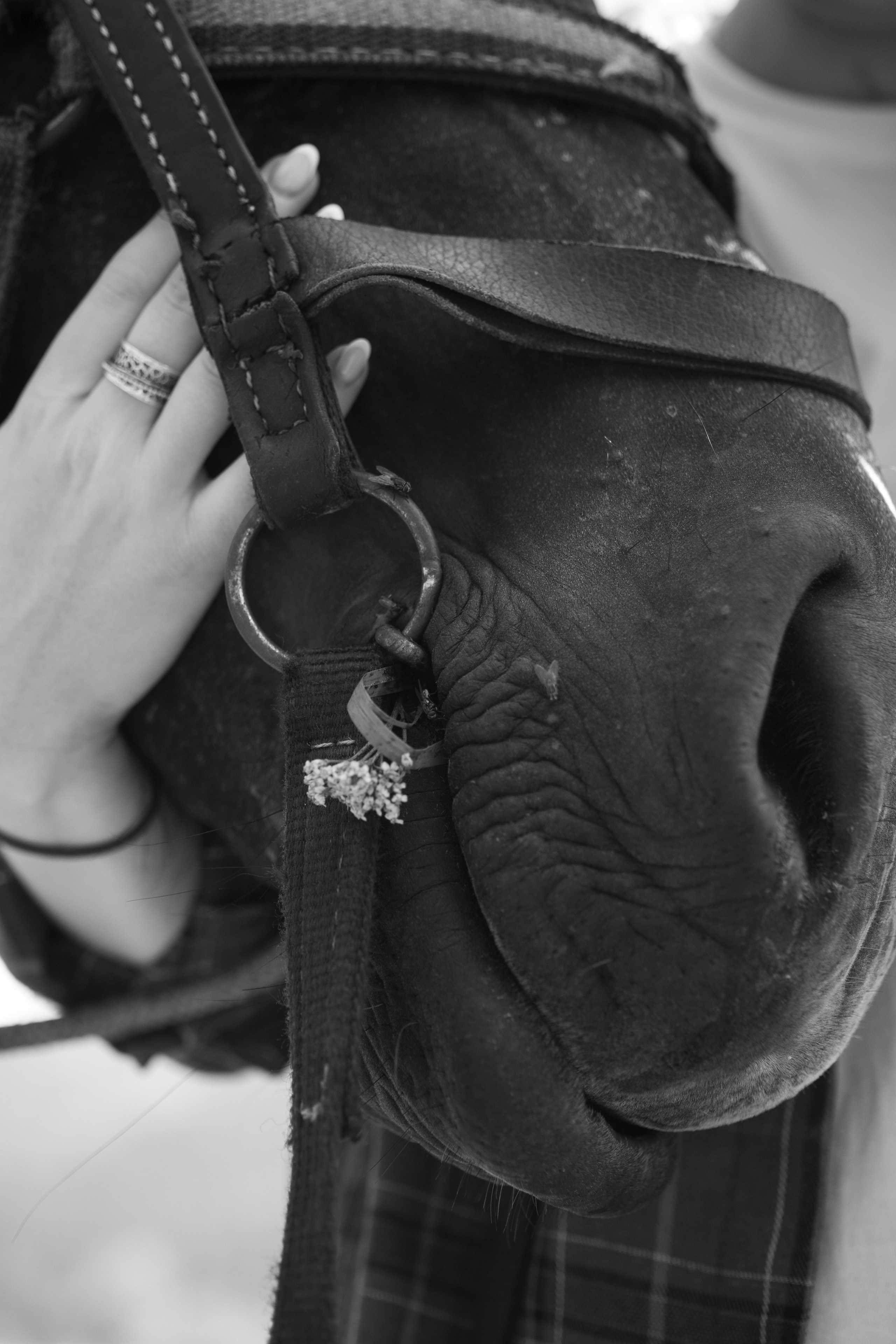 Сопровождение туров. Твой фотограф в Москве — Люся Кравец