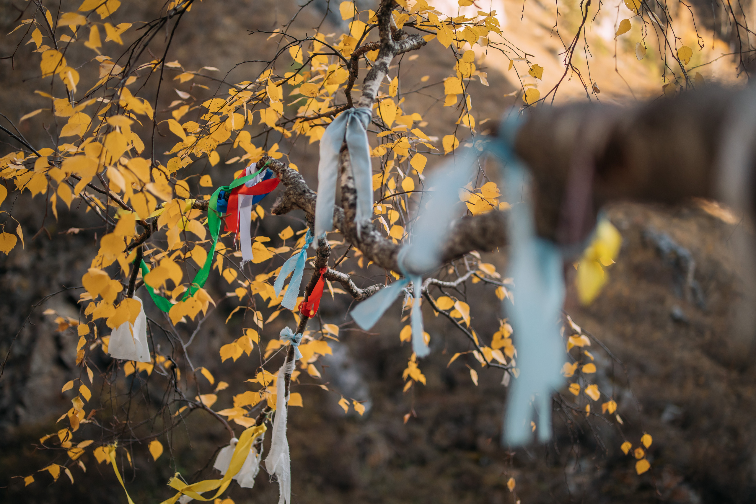 Сопровождение туров. Твой фотограф в Москве — Люся Кравец