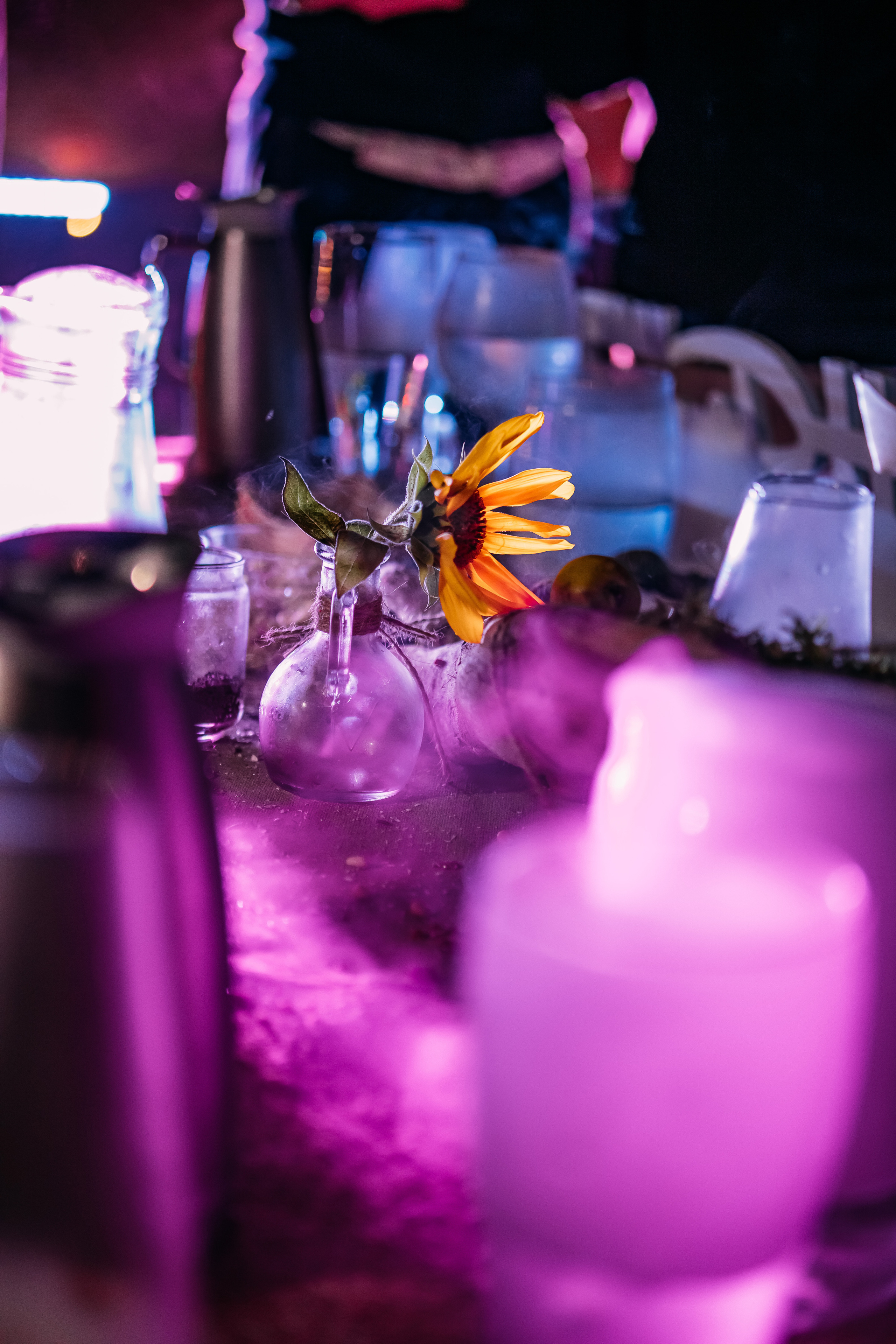 Гала. Твой фотограф в Москве — Люся Кравец