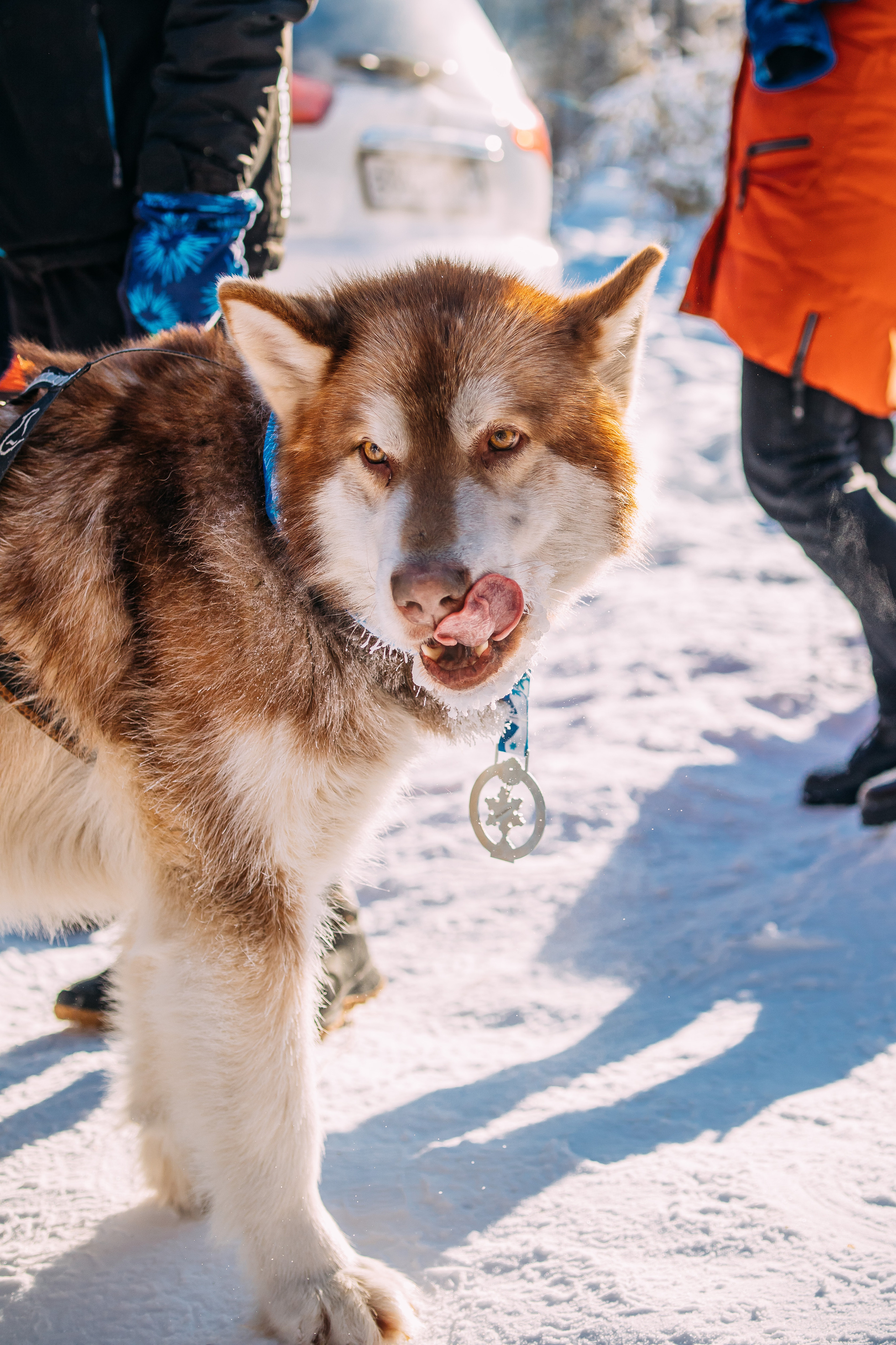 Спорт. Твой фотограф в Москве — Люся Кравец