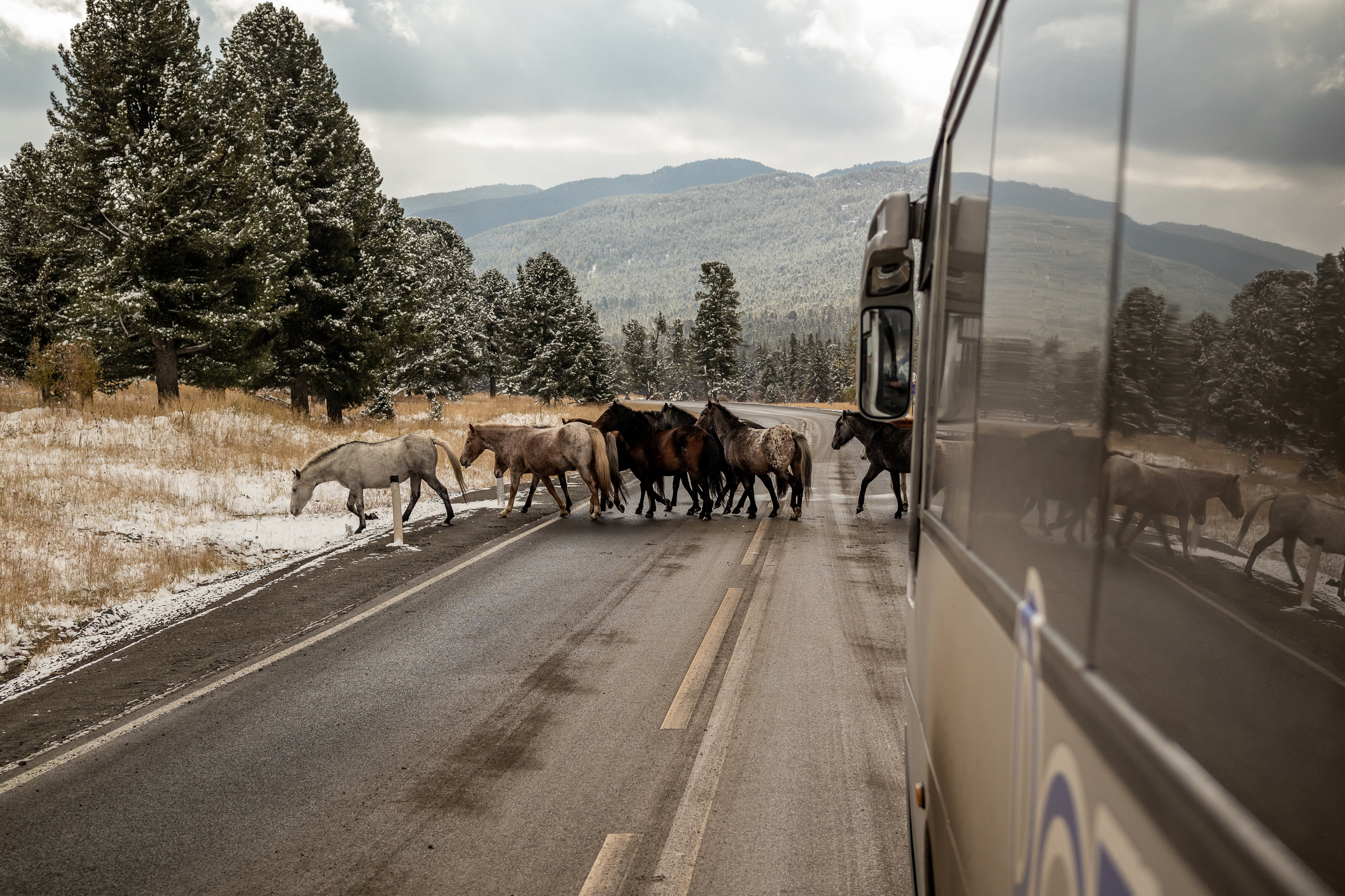 Сопровождение туров. Твой фотограф в Москве — Люся Кравец