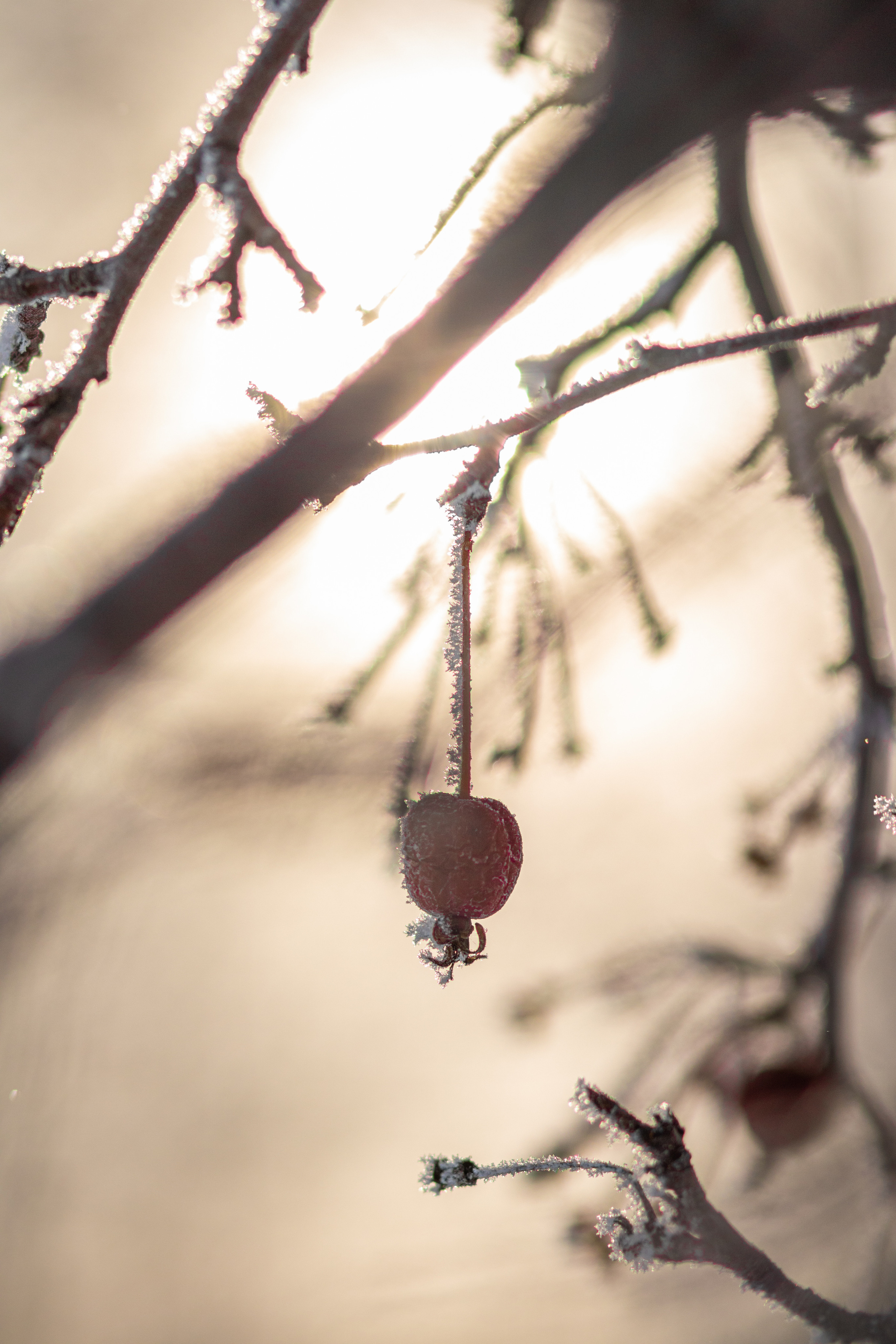Сопровождение туров. Твой фотограф в Москве — Люся Кравец