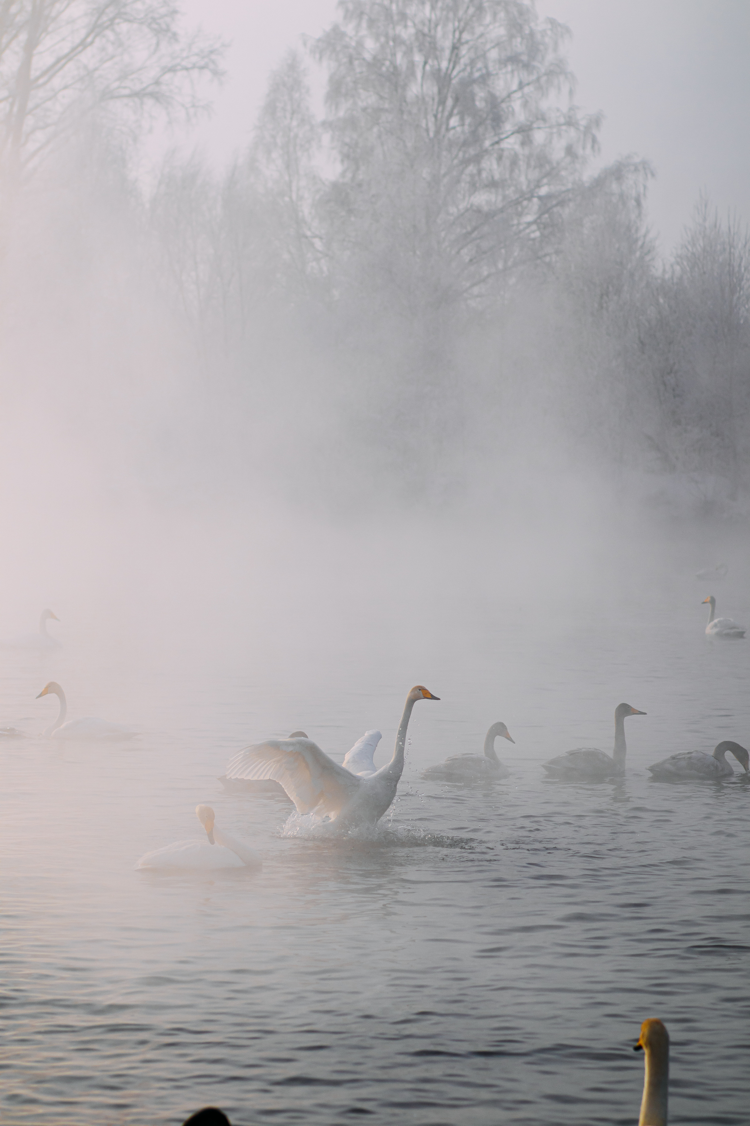 Сопровождение туров. Твой фотограф в Москве — Люся Кравец