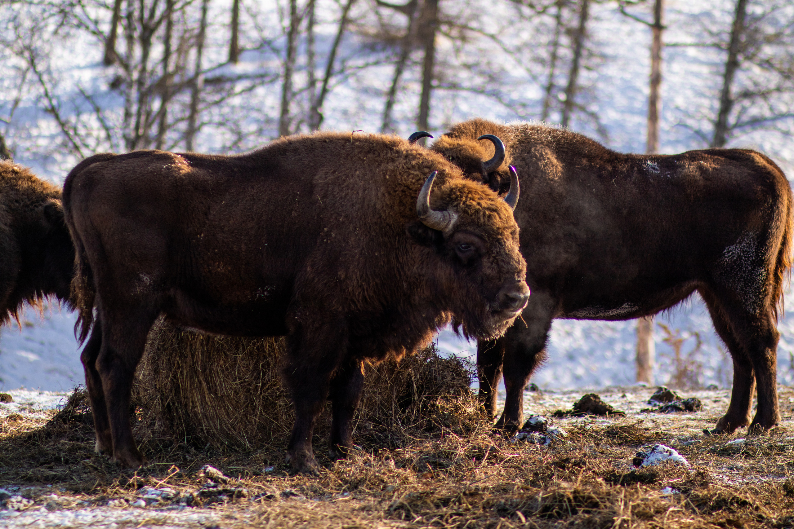 Сопровождение туров. Твой фотограф в Москве — Люся Кравец