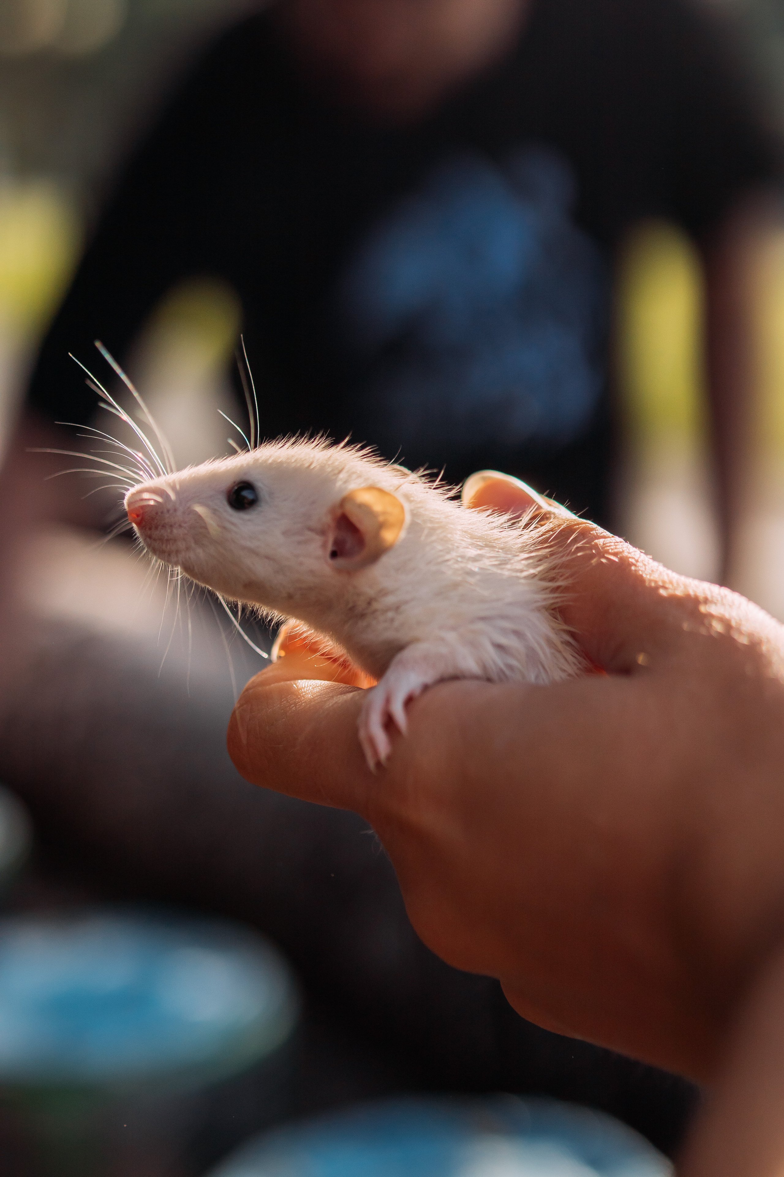 Спорт. Твой фотограф в Москве — Люся Кравец