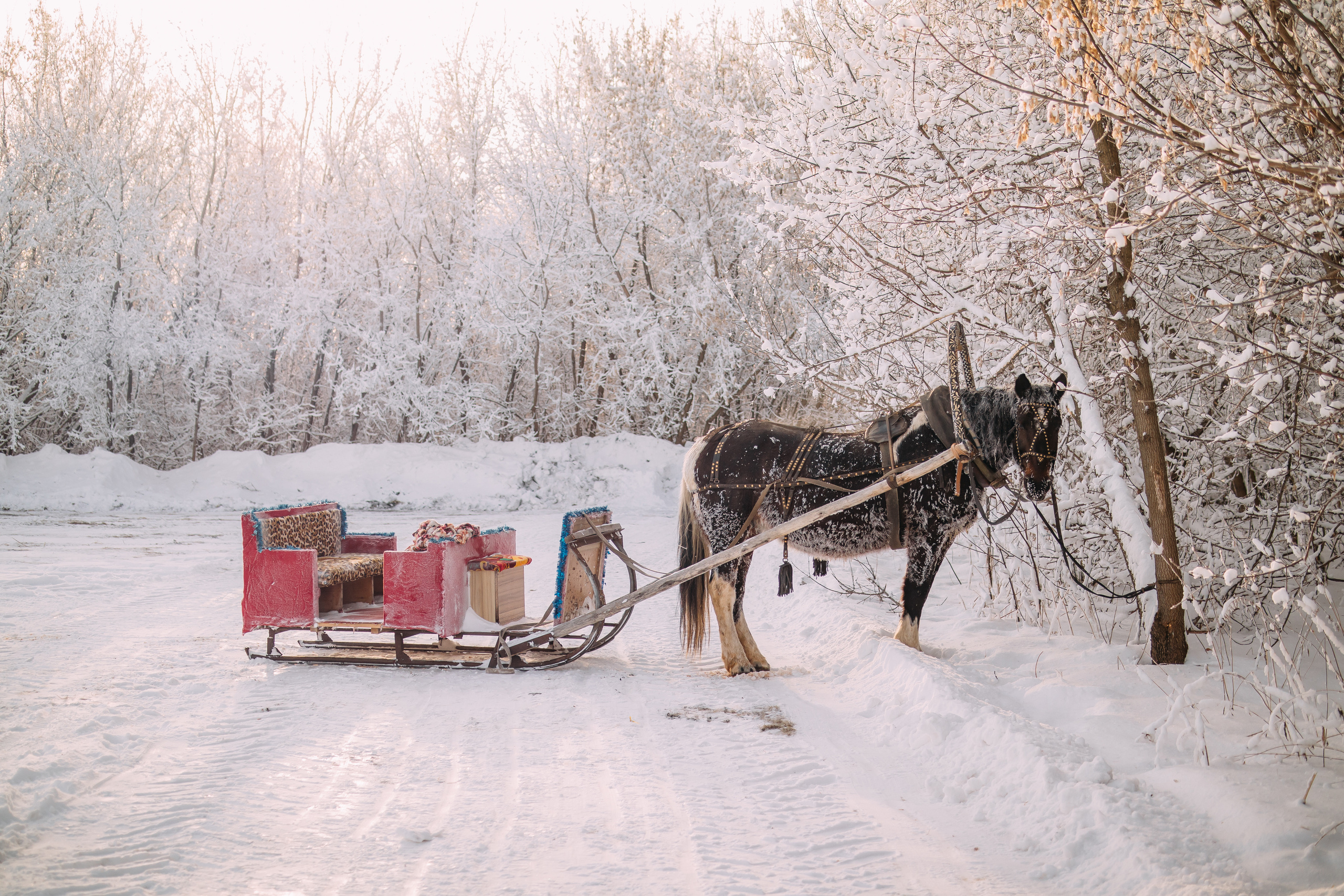 Сопровождение туров. Твой фотограф в Москве — Люся Кравец