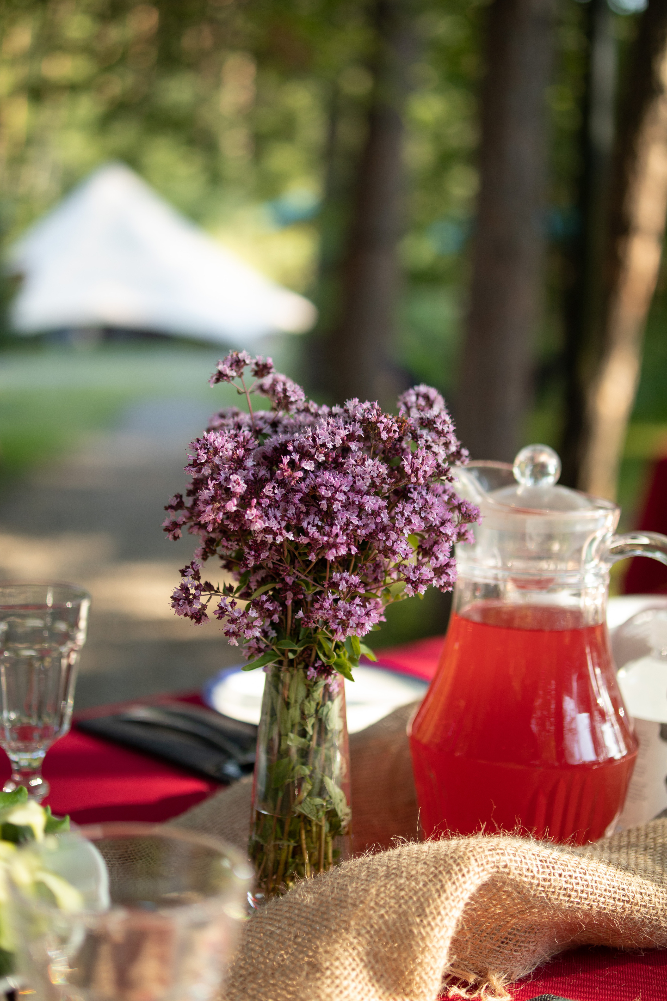 Гала. Твой фотограф в Москве — Люся Кравец