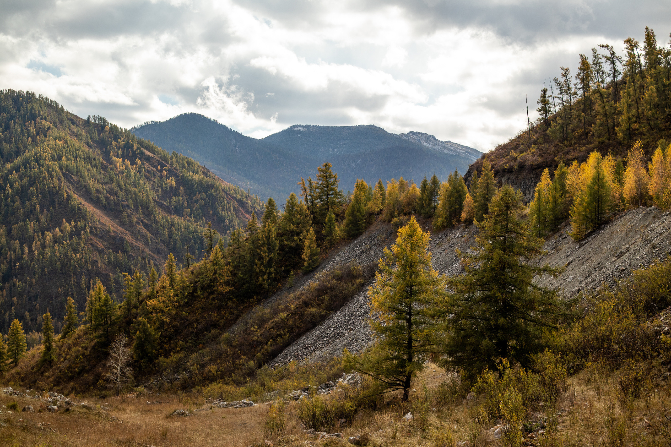 Сопровождение туров. Твой фотограф в Москве — Люся Кравец
