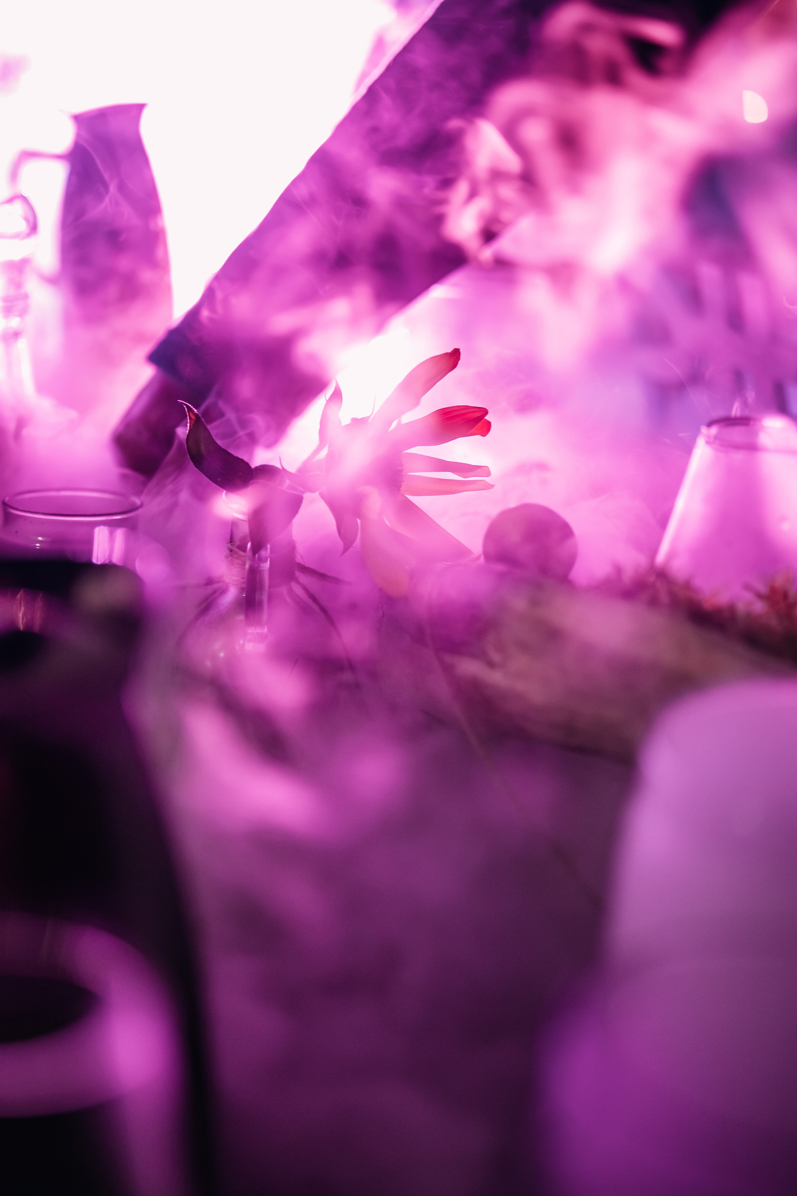 Гала. Твой фотограф в Москве — Люся Кравец