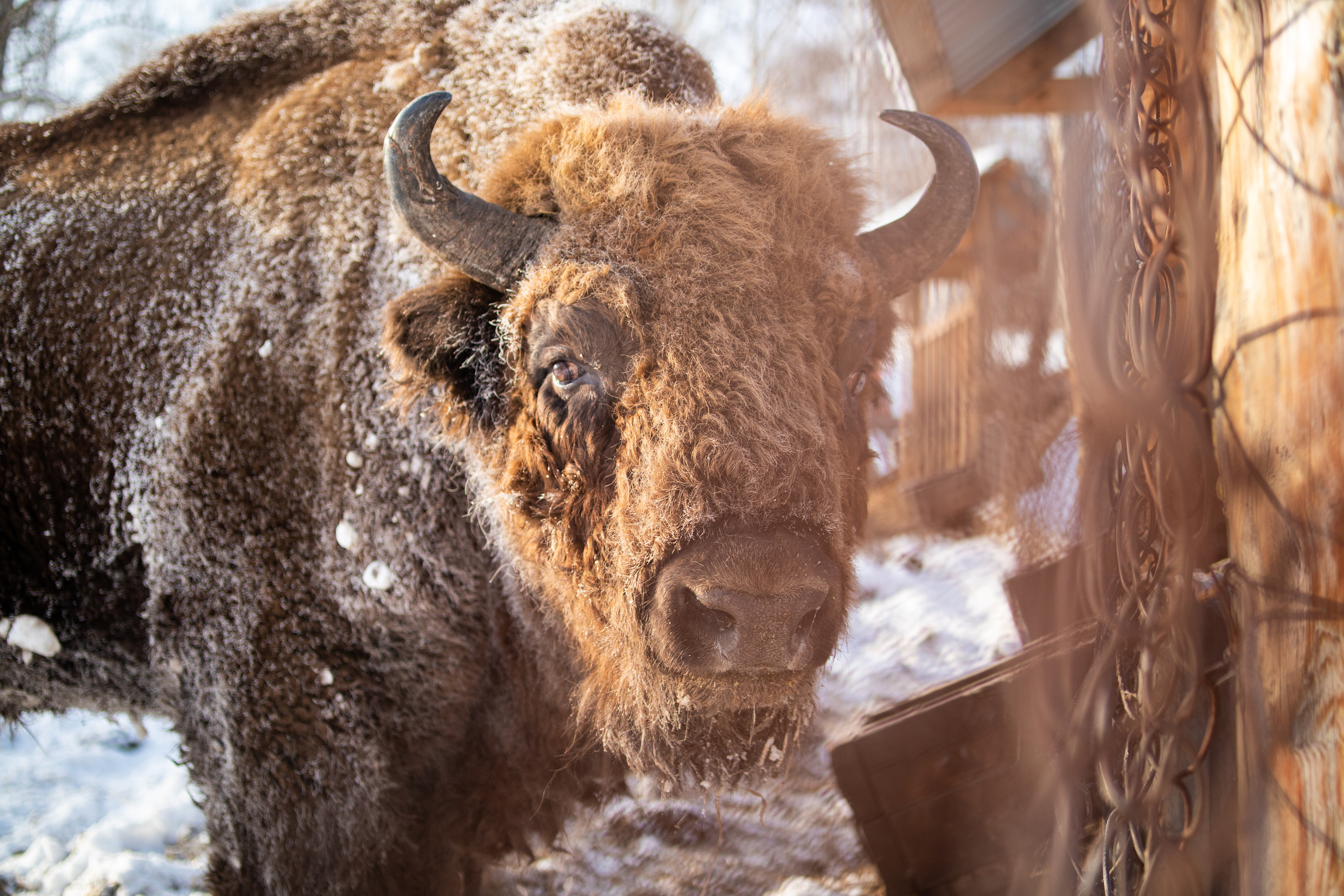 Сопровождение туров. Твой фотограф в Москве — Люся Кравец