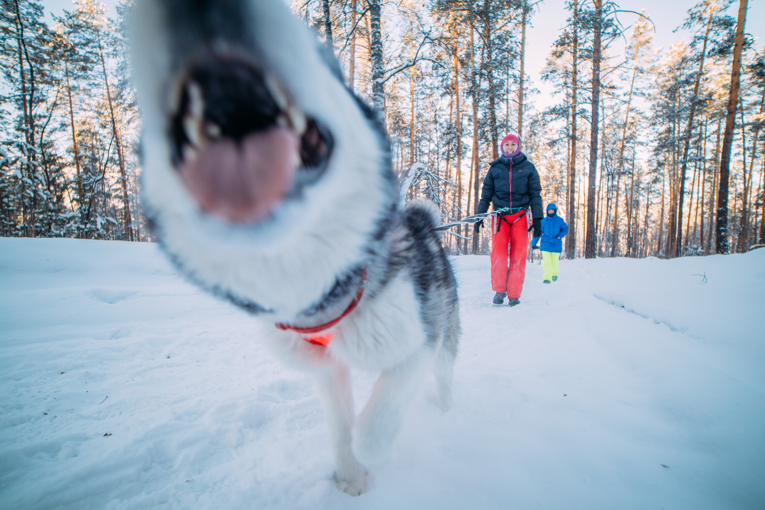 Спорт. Твой фотограф в Москве — Люся Кравец