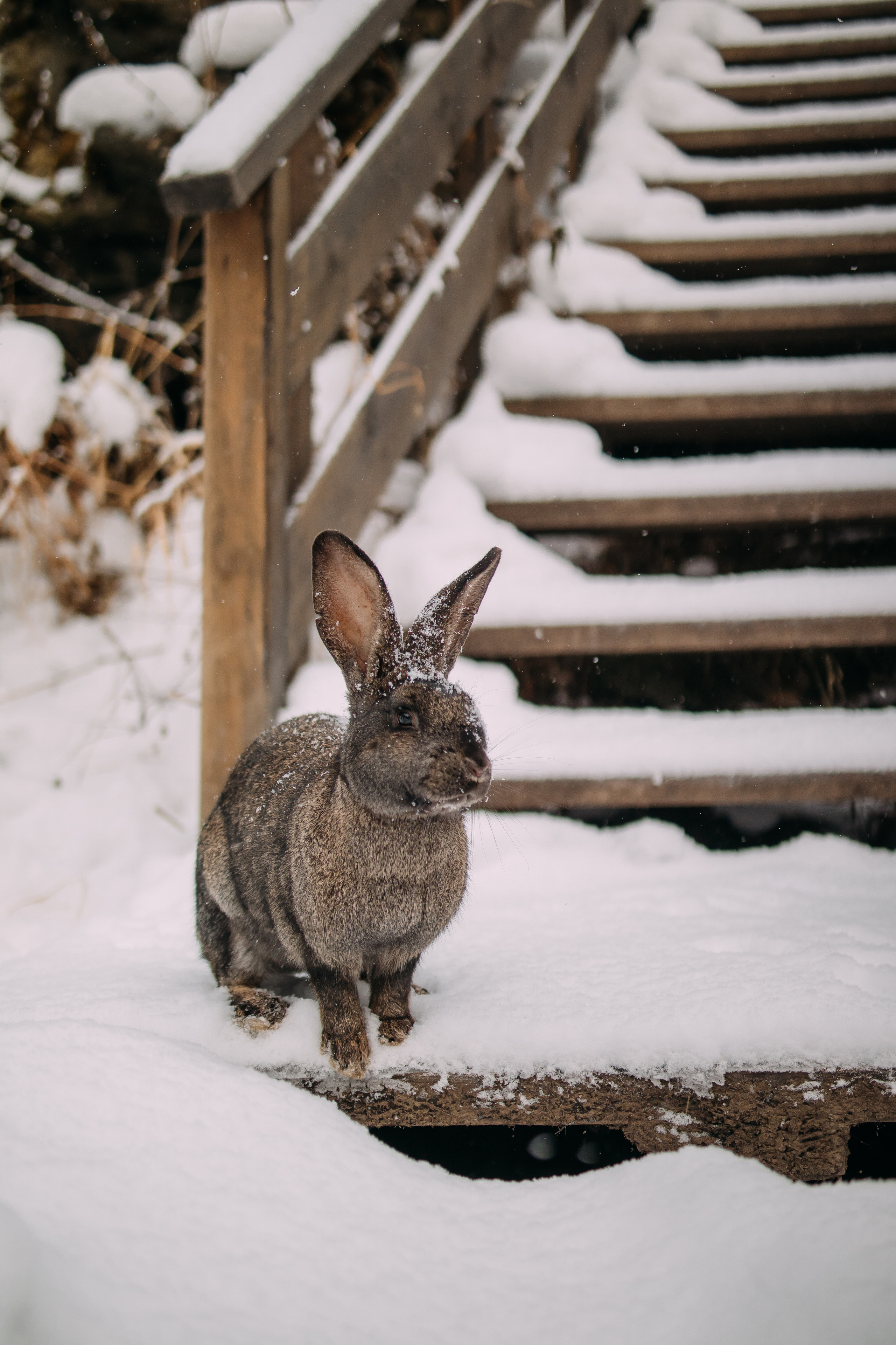 Сопровождение туров. Твой фотограф в Москве — Люся Кравец
