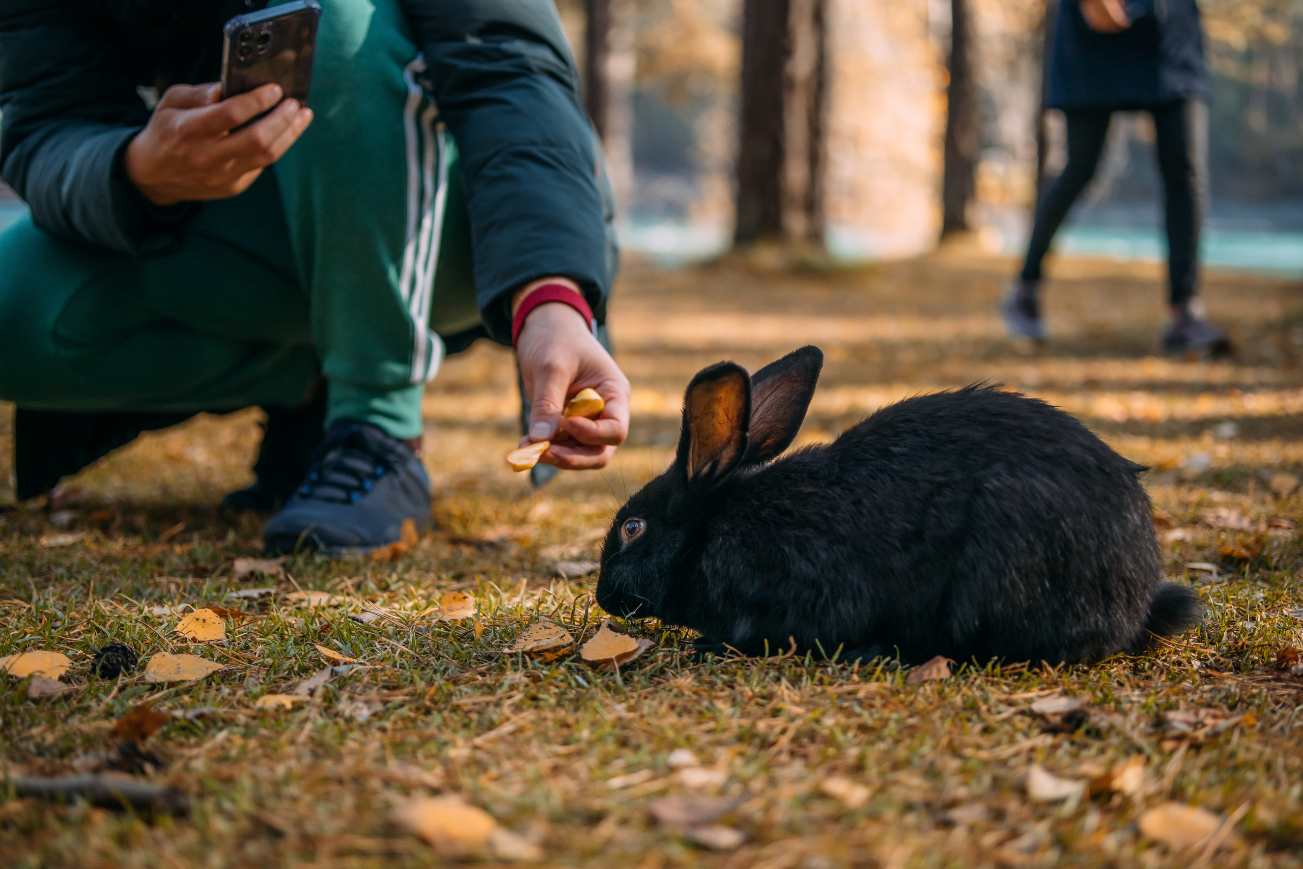 Сопровождение туров. Твой фотограф в Москве — Люся Кравец