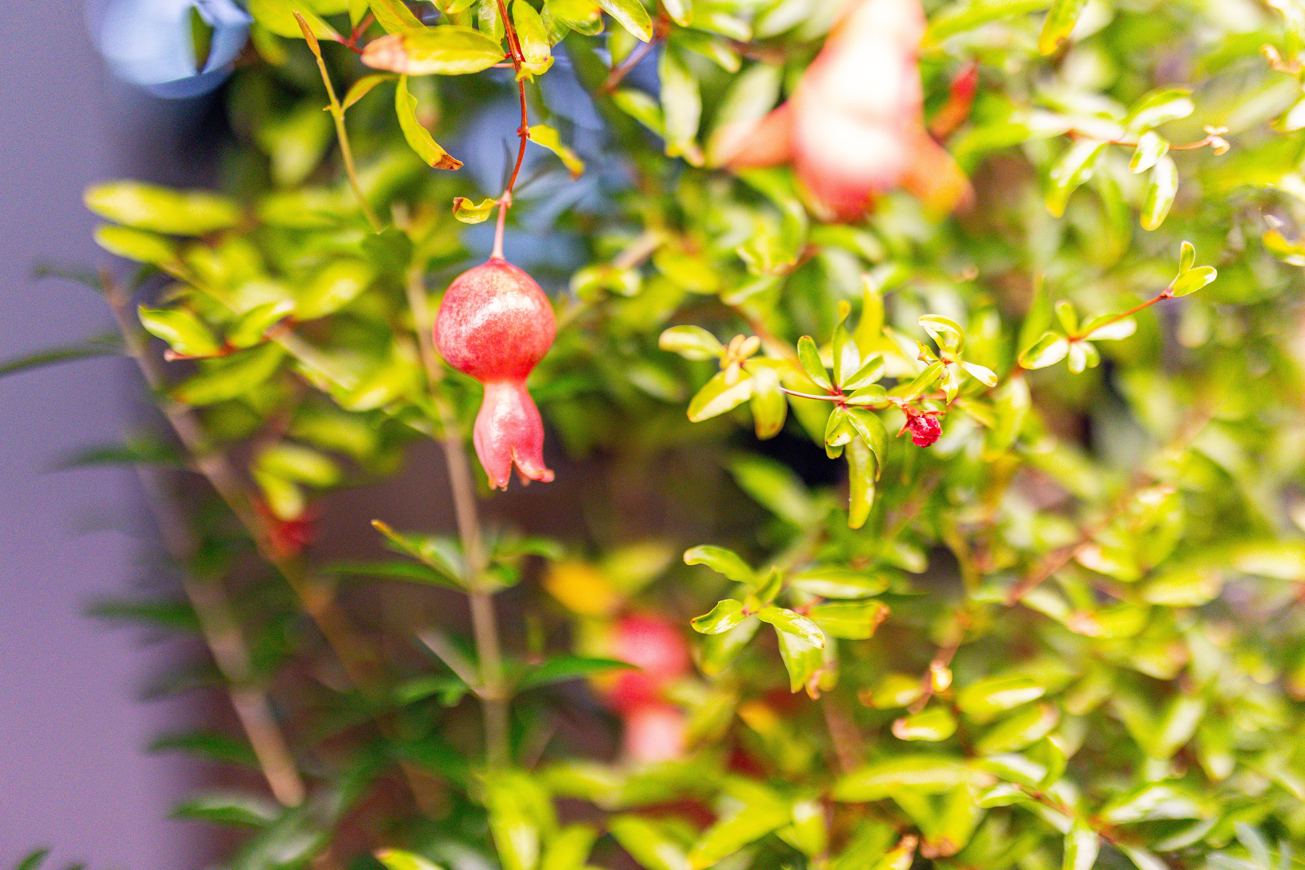 Монстериум 11–12 октября. Александра Куликова фотограф, Москва