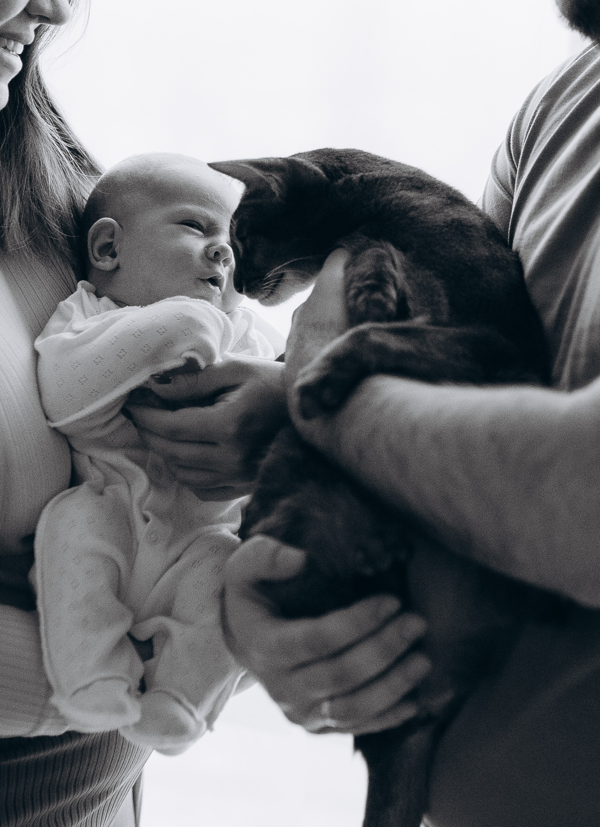 Паша. Семейный и детский фотограф в Щелково Алена Дробот