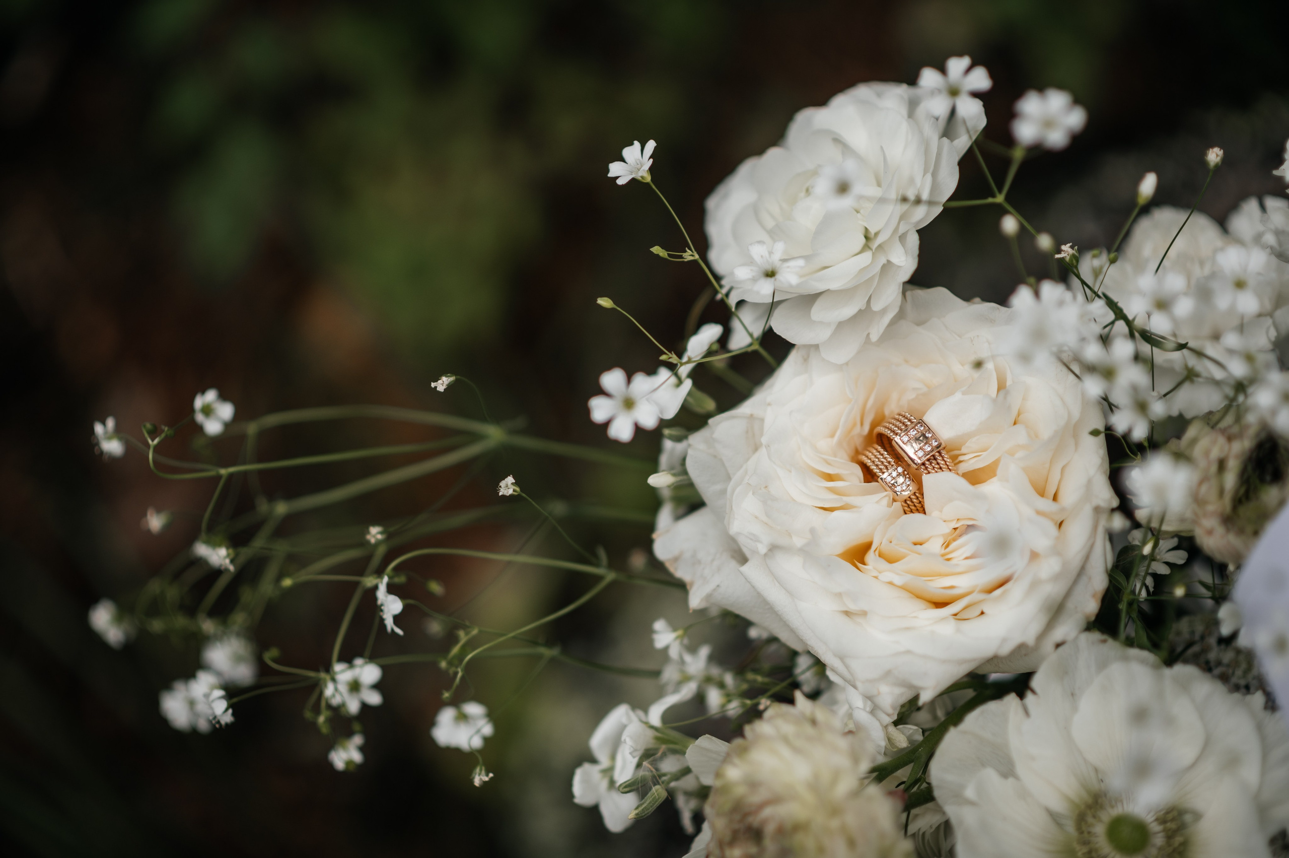 Паша и Даша. Свадебная  съемка на Алтае