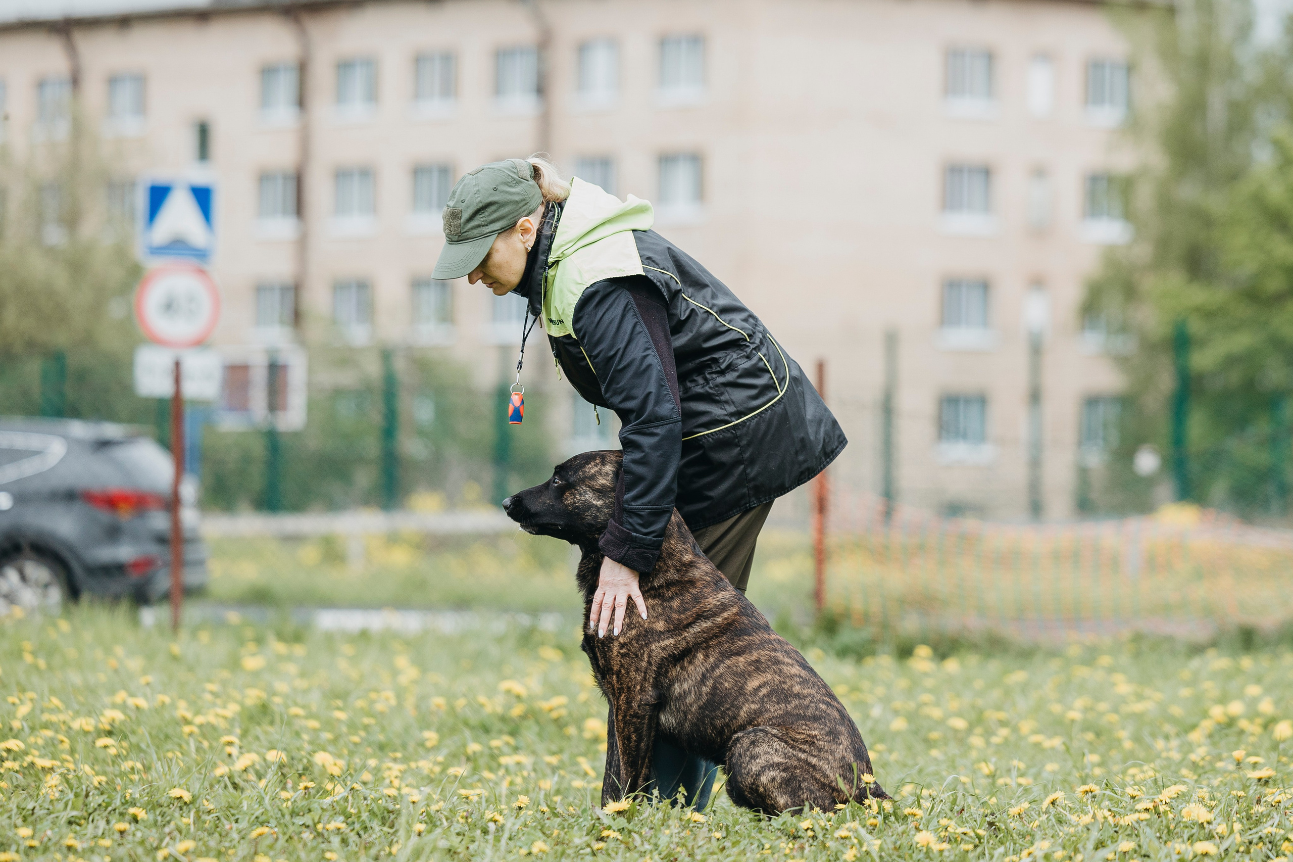 26.05.25 г. Пушкин квалификационные соревнования. Фотограф-анималист Анна Маринич