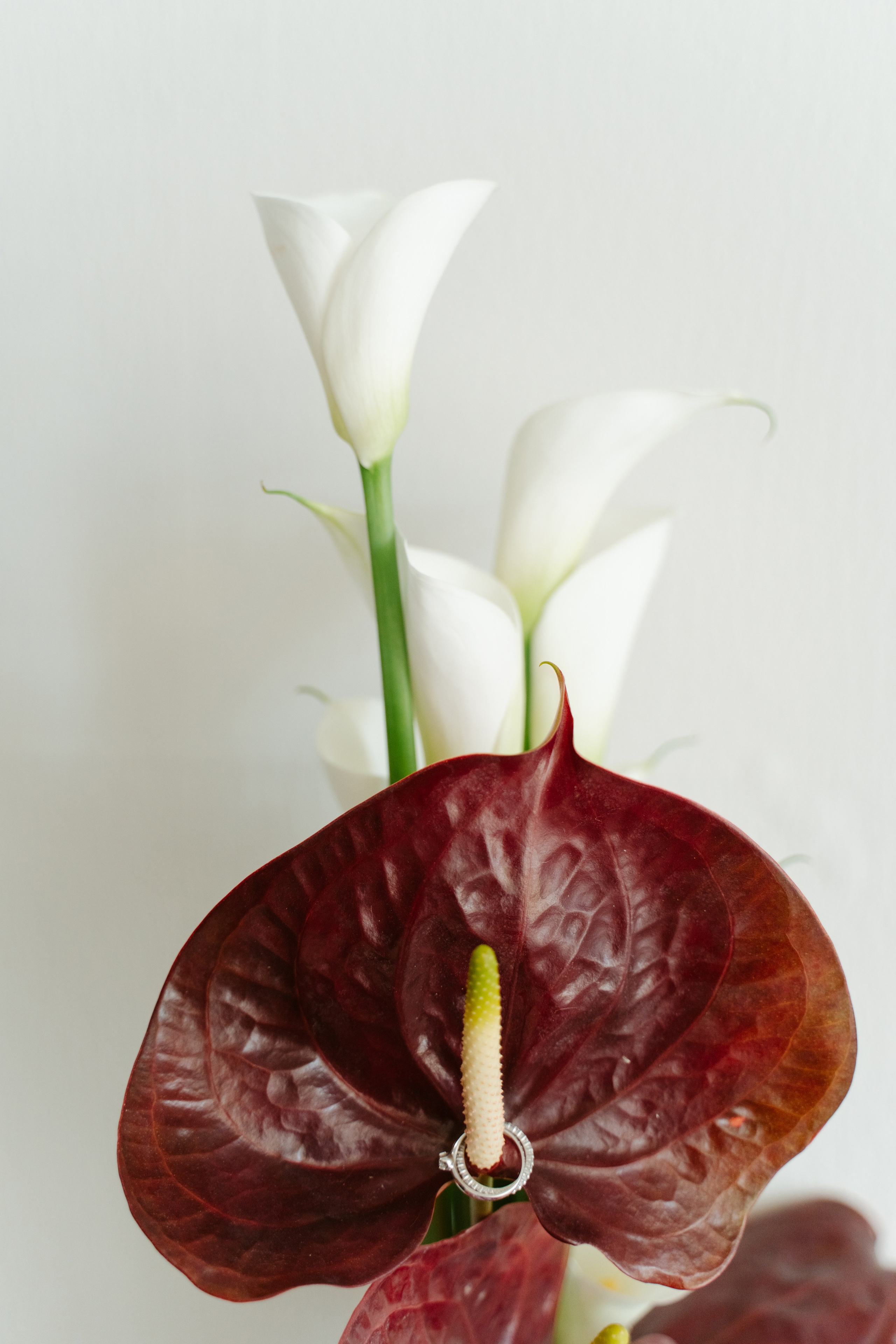 Поле. Фотограф Евстигнеев Илья