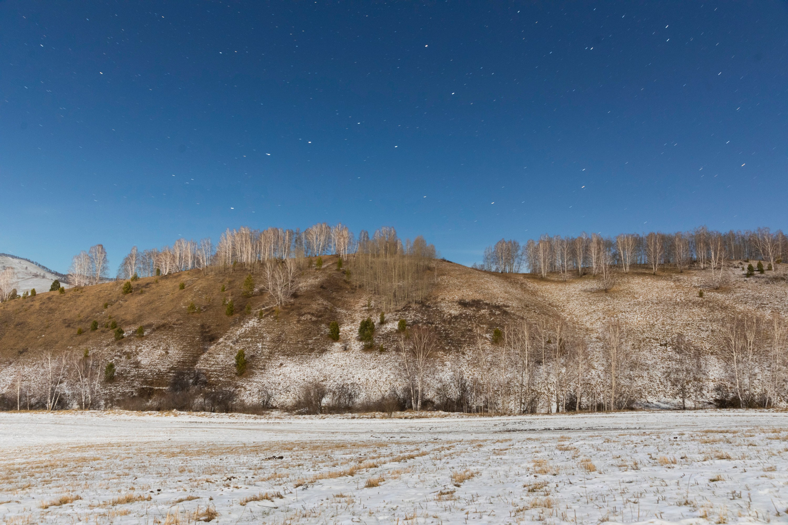 Алтай в декабре. Марина Захарова — Фотограф. Москва / Marina Zakharova — Photographer