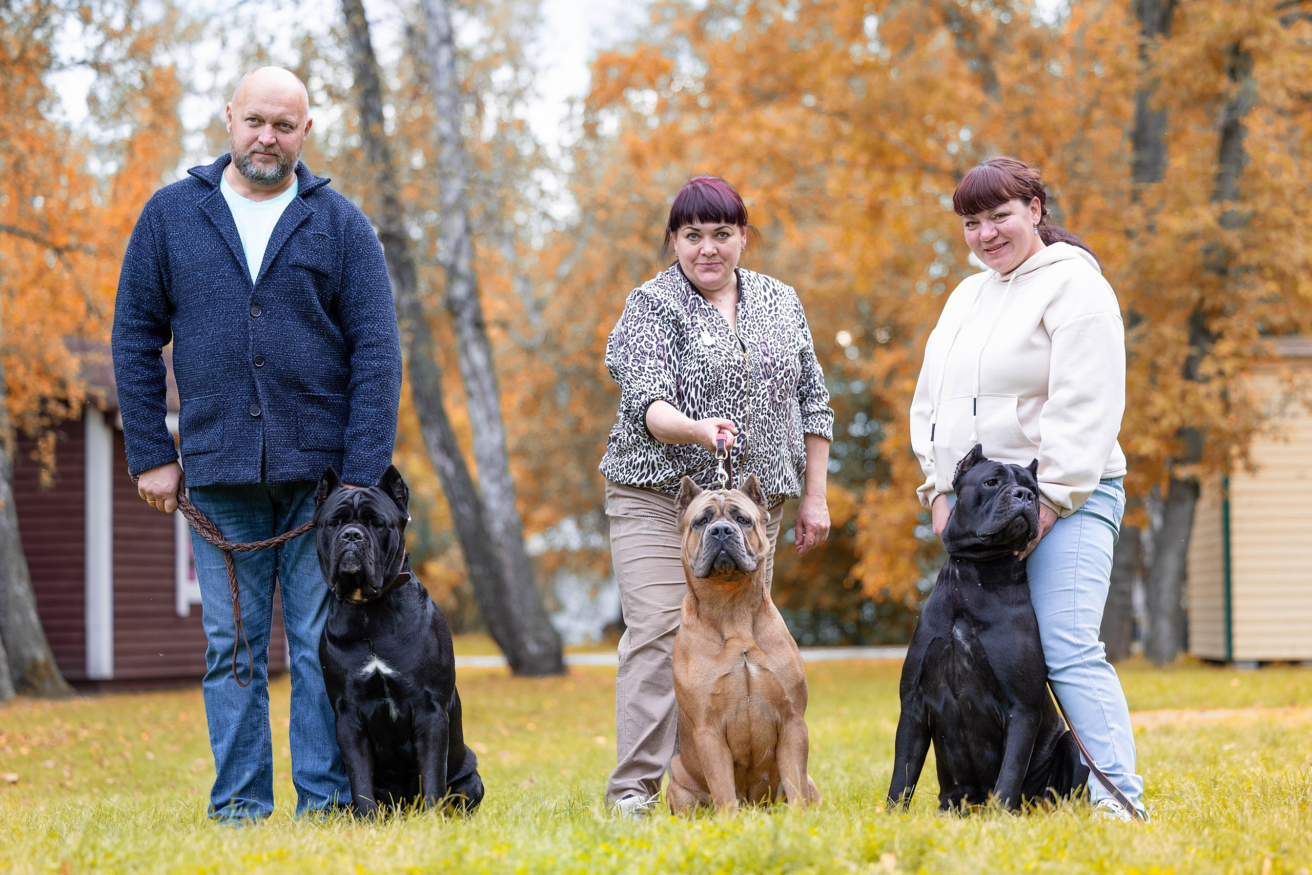 Заринговая съёмка на выставках собак. Фотограф-анималист в Омске Екатерина Маричева