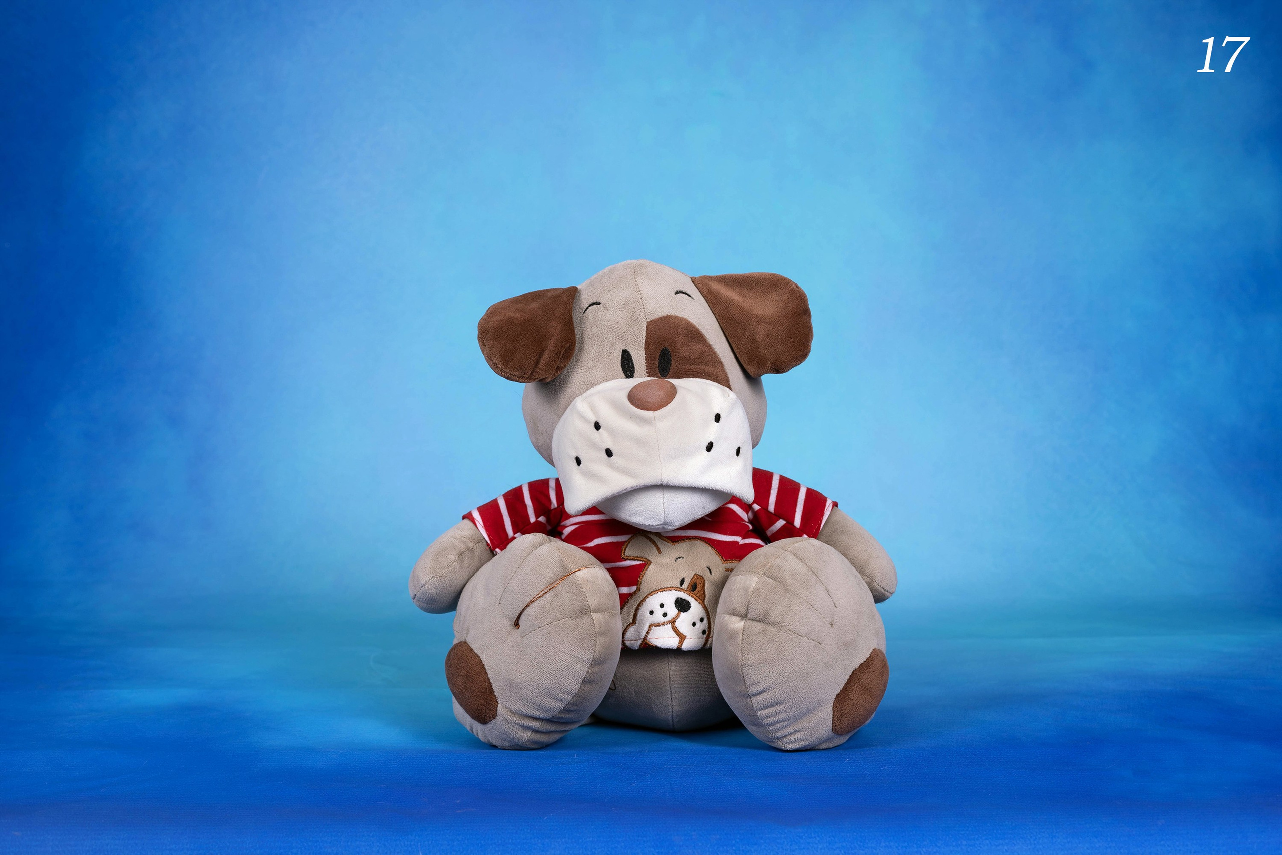 Фоны спектра радуги. Фотограф-анималист в Омске Екатерина Маричева