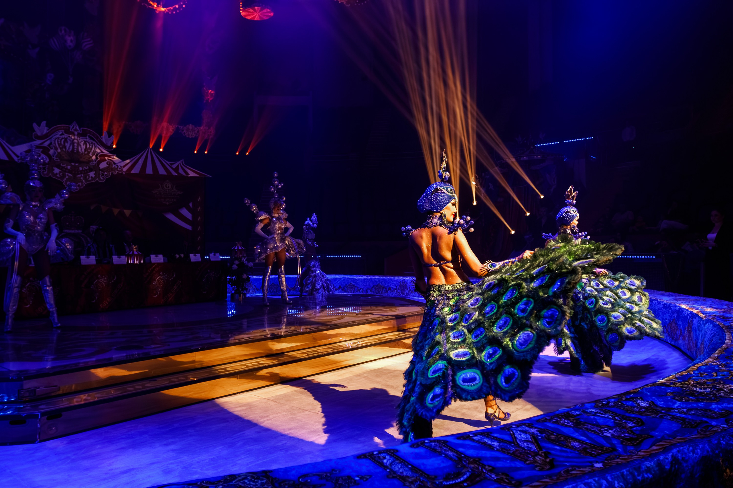 Сочинский росгорцирк Шоу Гии Эрадзе цирк. Профессиональный фотограф в Сочи Виктория Джой. Обучение