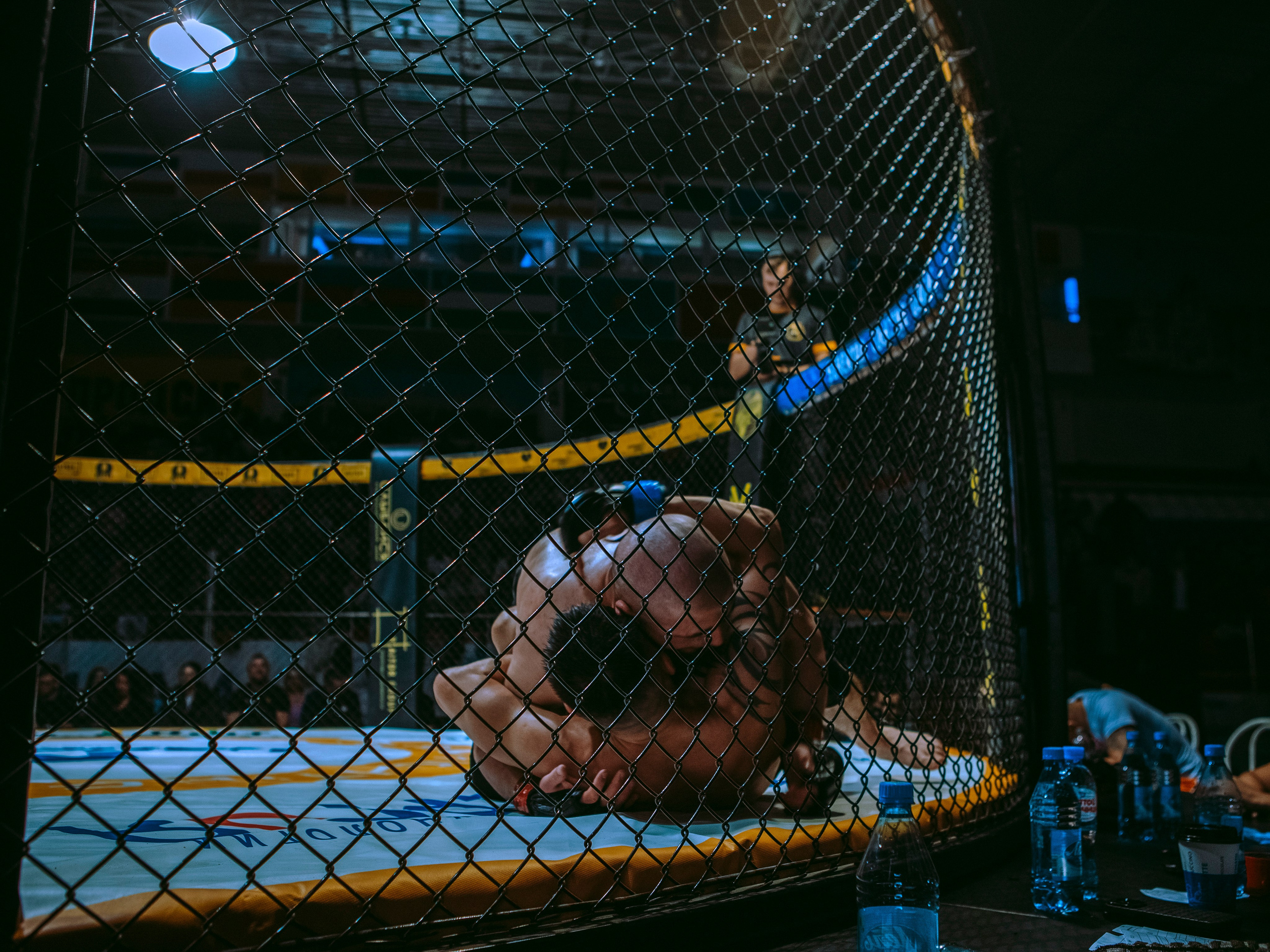 SFL 17 | Siberian Fighting League. Портретный фотограф в Москве Дарья Цезария