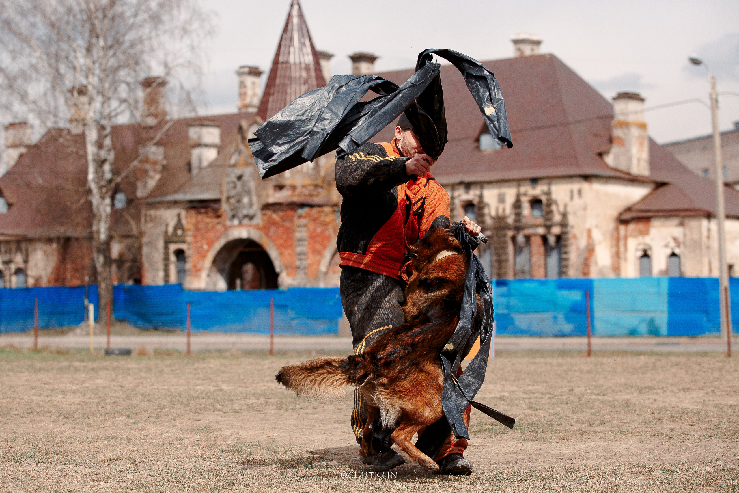 Большой Русский Ринг. Фотограф-анималист Наталия Чистюхина в г. Сосновый Бор и ЛО
